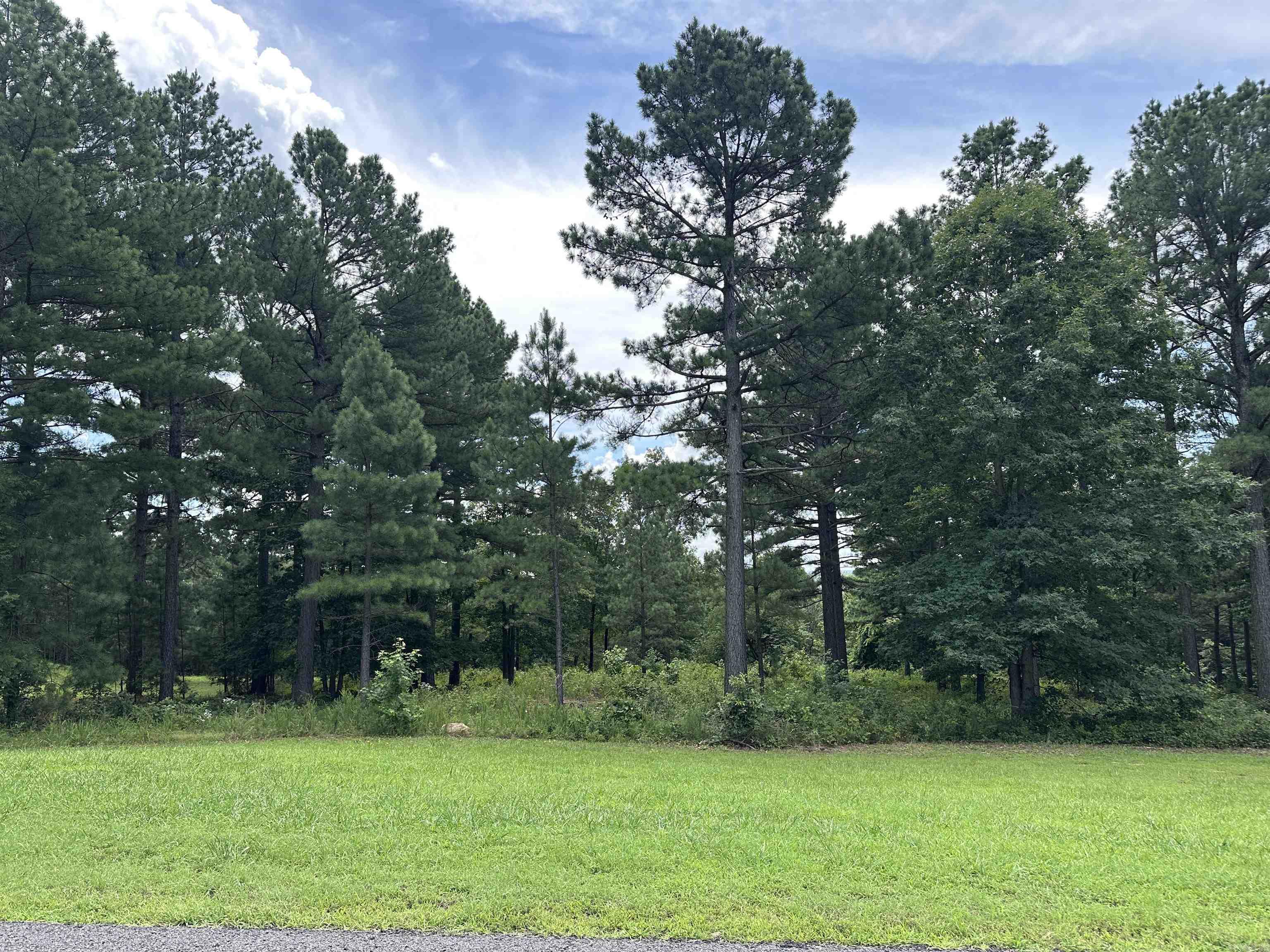 000 Citation Rd HOLLY  MTN. AIRPARK , SOUTH RIDGE Clinton, AR