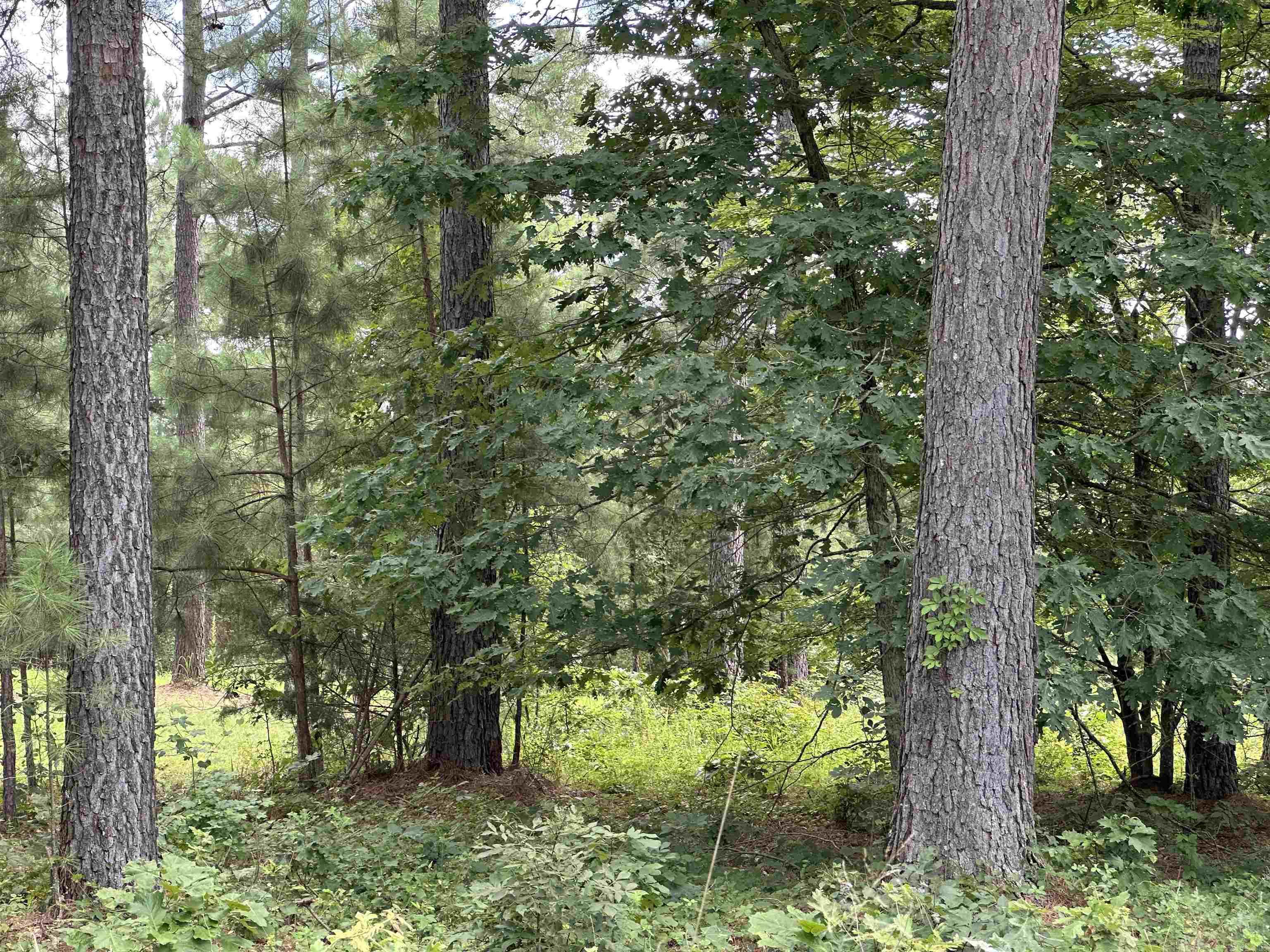 000 Citation Rd HOLLY  MTN. AIRPARK , SOUTH RIDGE Clinton, AR