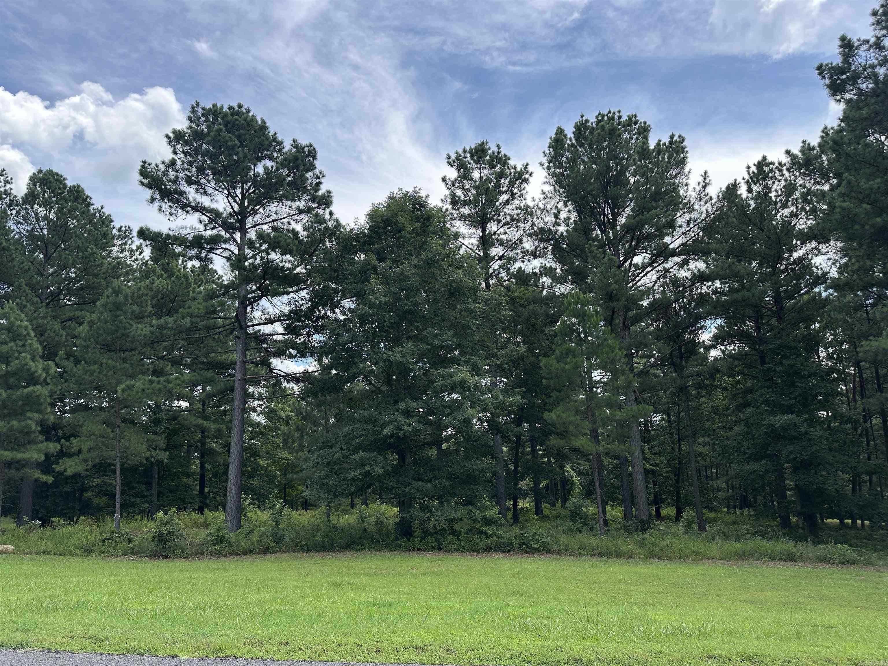 000 Citation Rd HOLLY  MTN. AIRPARK , SOUTH RIDGE Clinton, AR