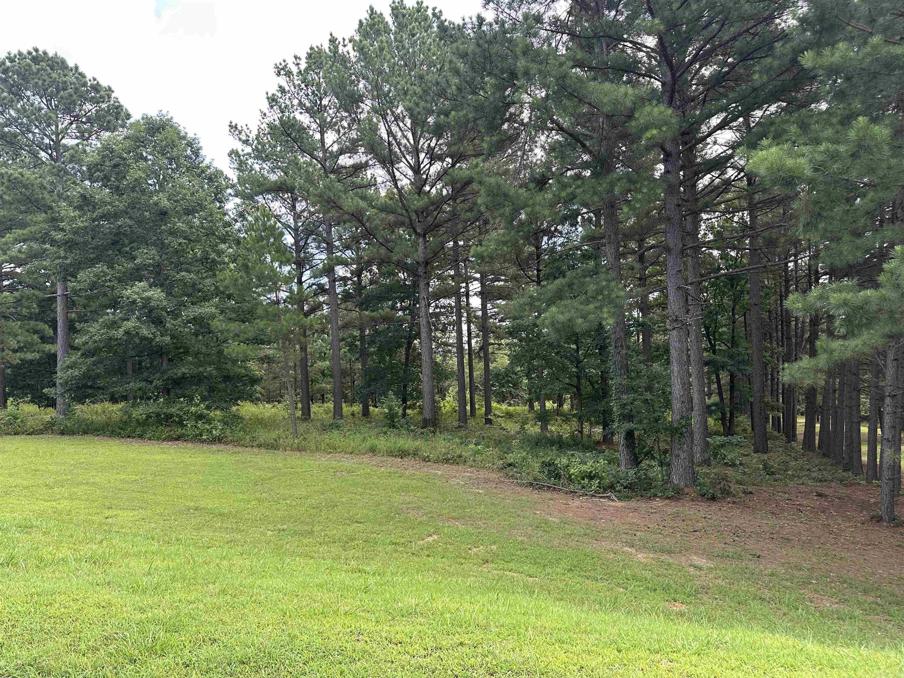 000 Citation Rd HOLLY  MTN. AIRPARK , SOUTH RIDGE Clinton, AR