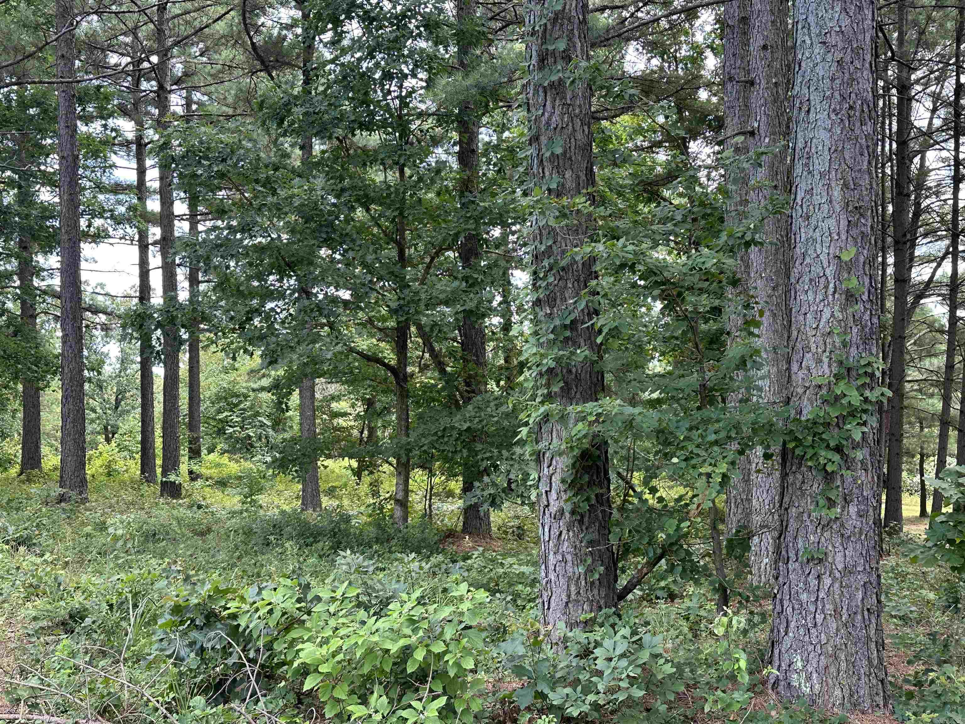 000 Citation Rd HOLLY  MTN. AIRPARK , SOUTH RIDGE Clinton, AR