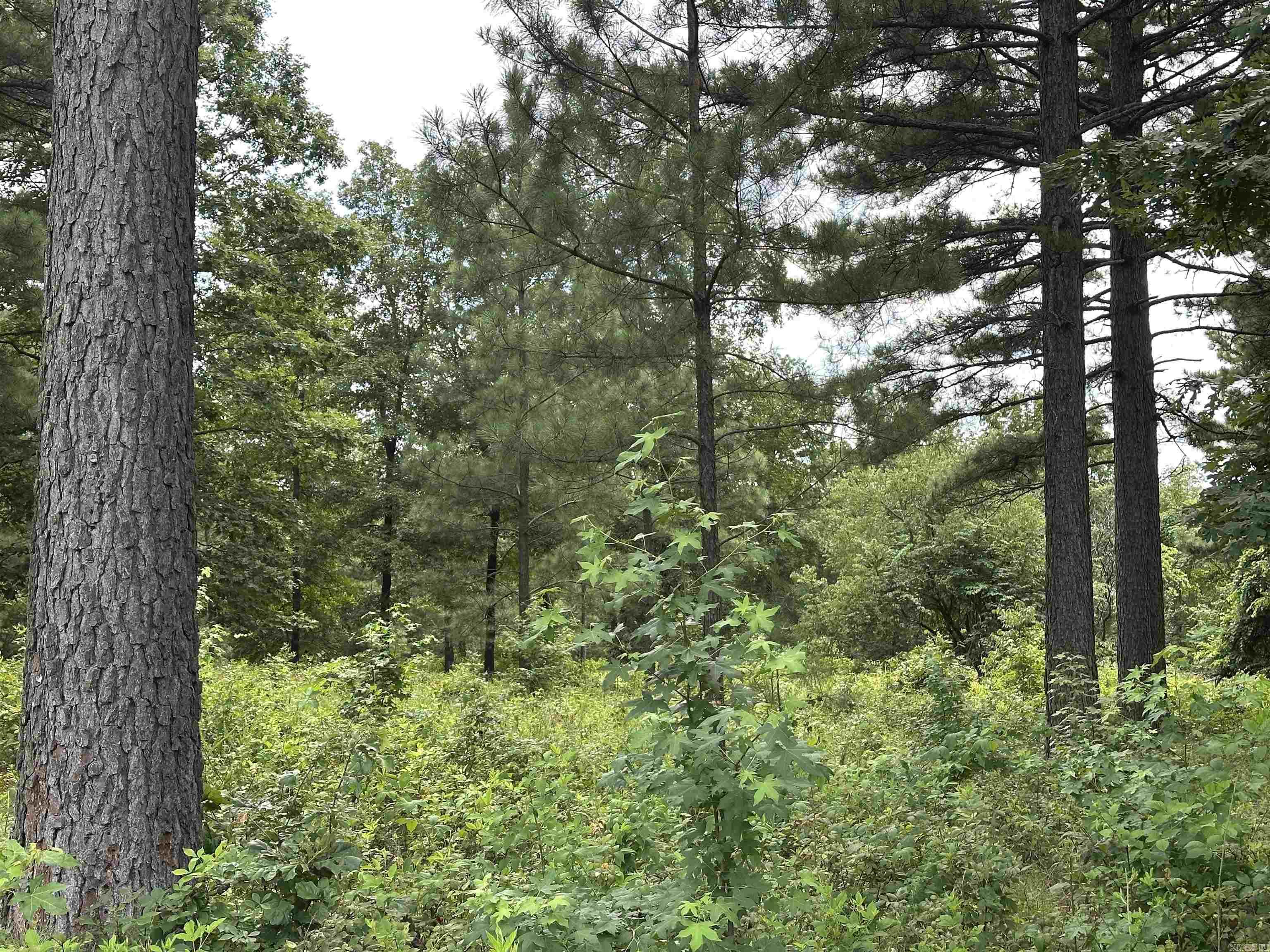 000 Citation Rd HOLLY  MTN. AIRPARK , SOUTH RIDGE Clinton, AR