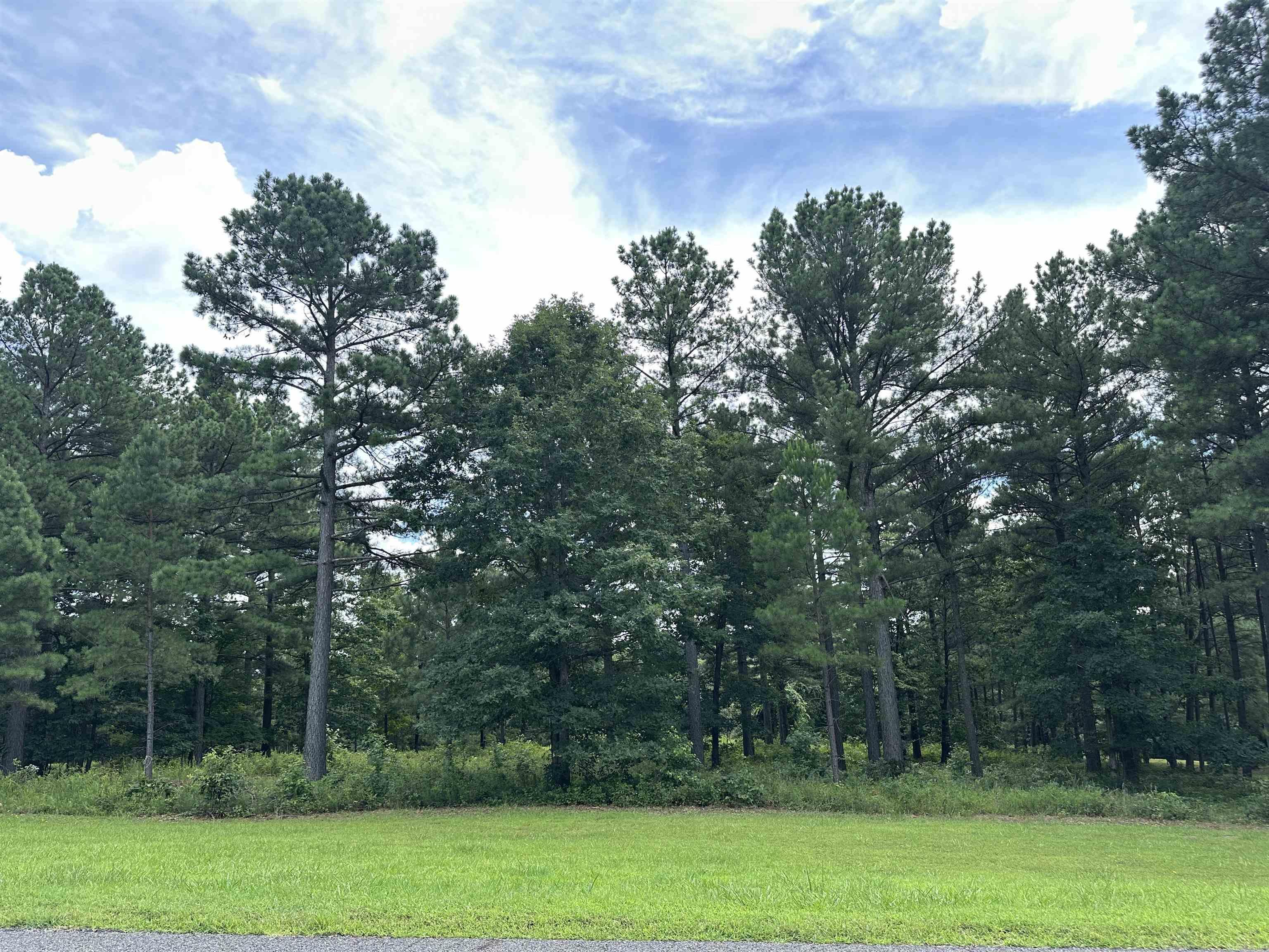 000 Citation Rd HOLLY  MTN. AIRPARK , SOUTH RIDGE Clinton, AR