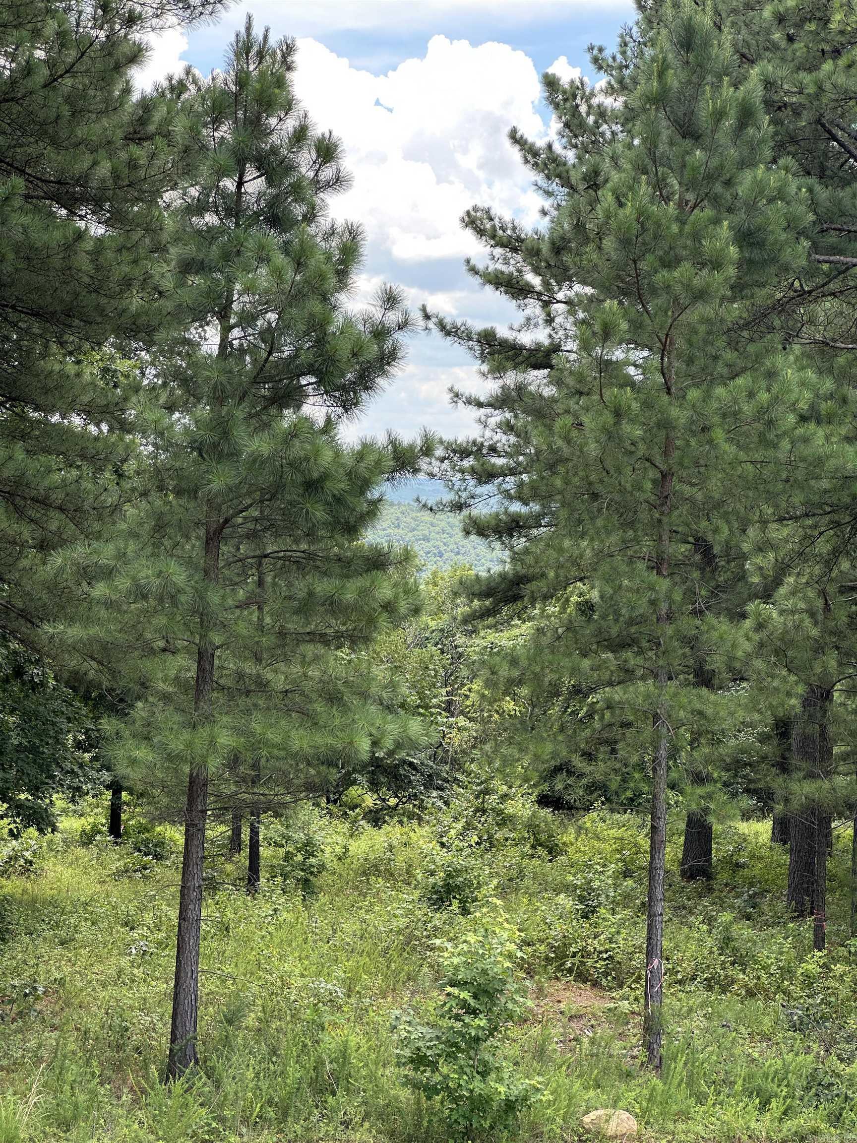 000 Citation Rd HOLLY  MTN. AIRPARK , SOUTH RIDGE Clinton, AR