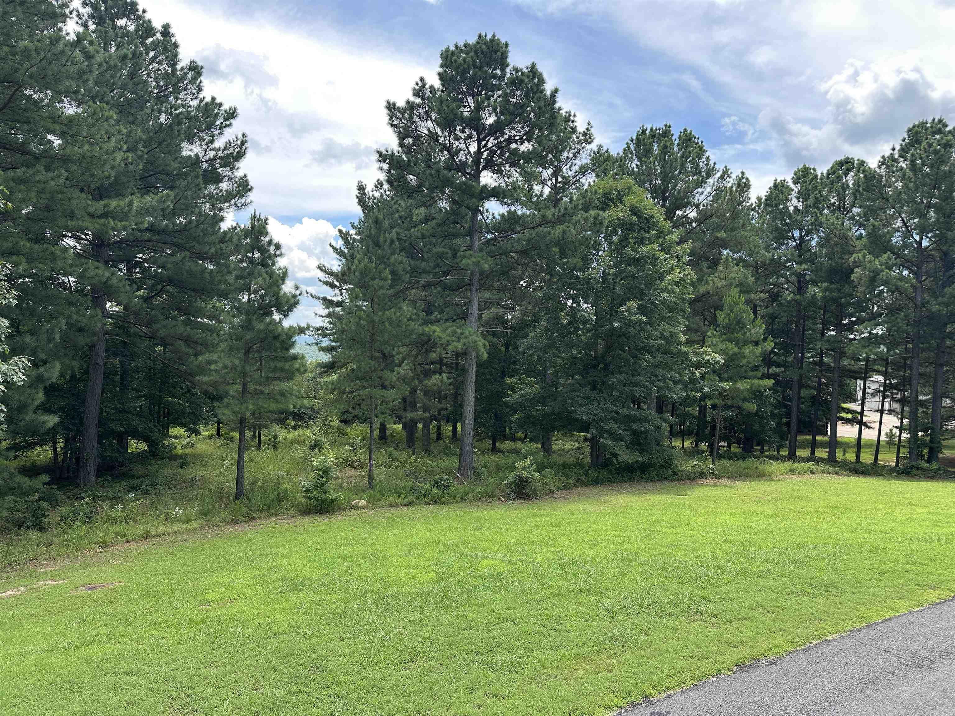 000 Citation Rd HOLLY  MTN. AIRPARK , SOUTH RIDGE Clinton, AR