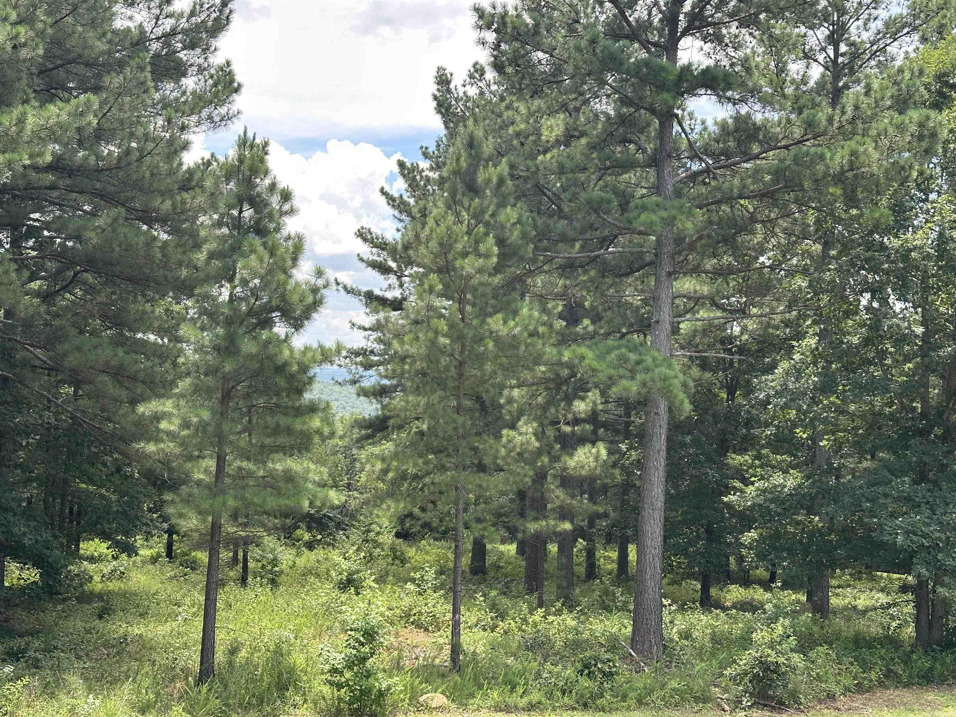 000 Citation Rd HOLLY  MTN. AIRPARK , SOUTH RIDGE Clinton, AR