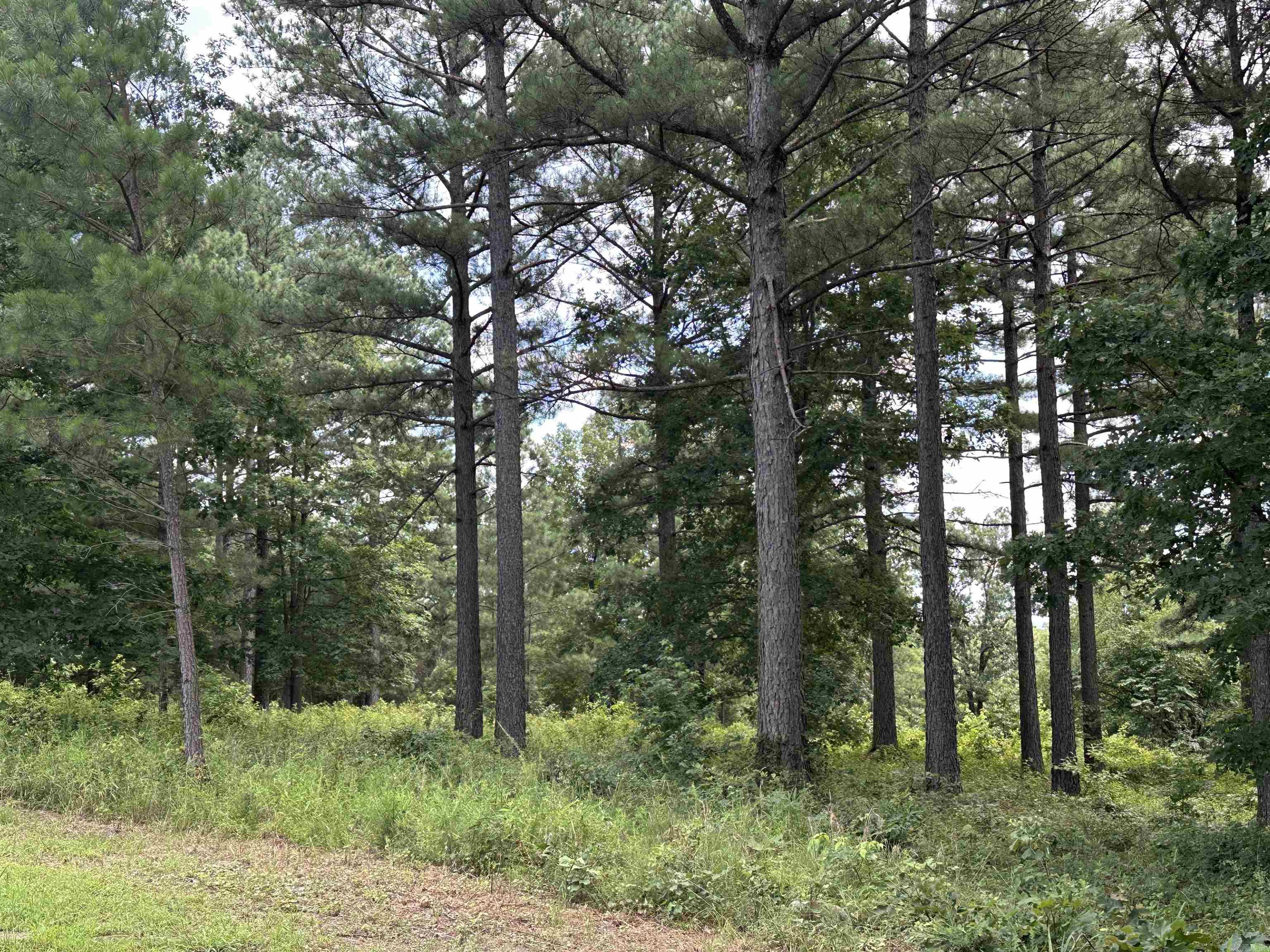 000 Citation Rd HOLLY  MTN. AIRPARK , SOUTH RIDGE Clinton, AR