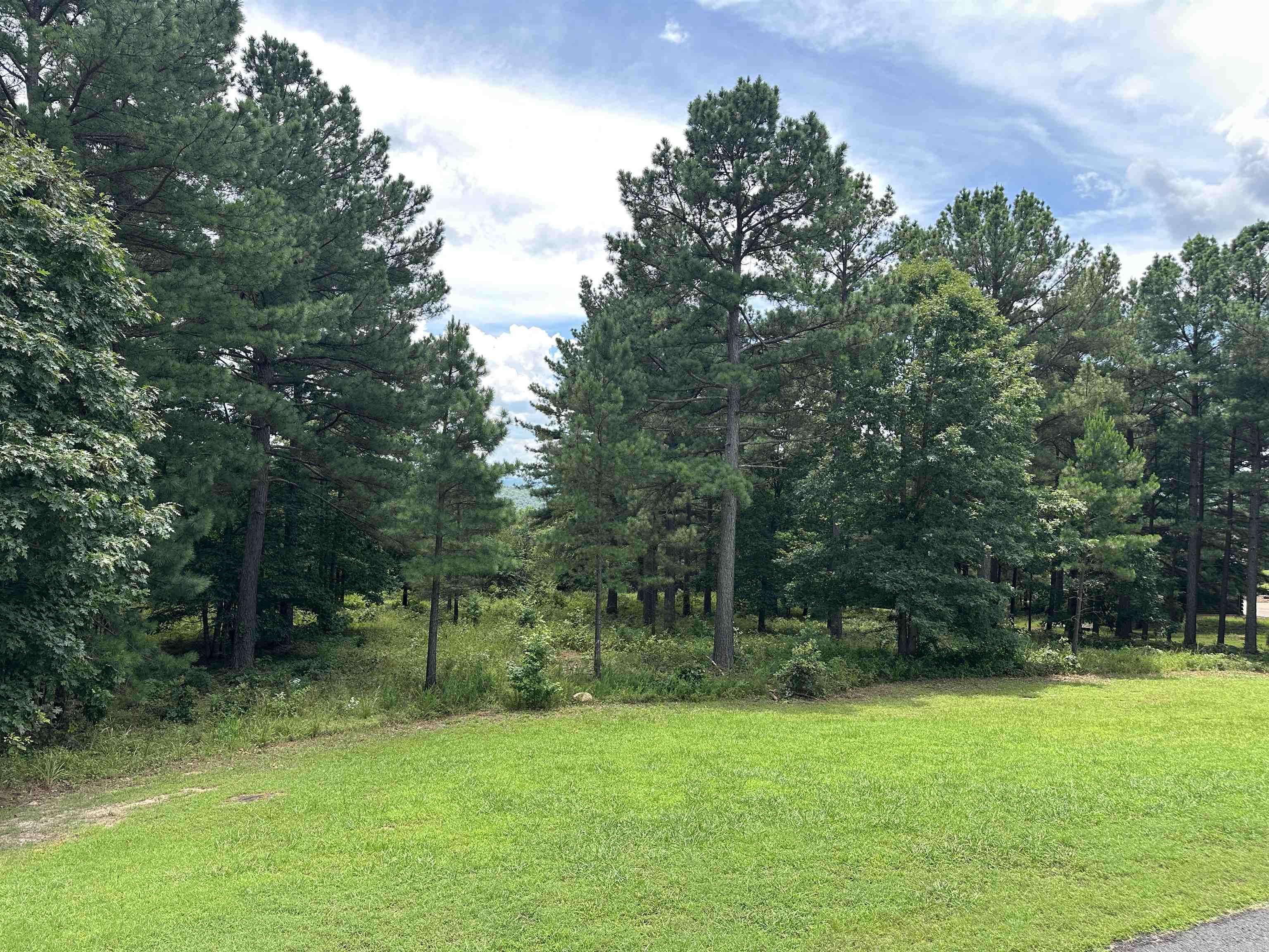 000 Citation Rd HOLLY  MTN. AIRPARK , SOUTH RIDGE Clinton, AR