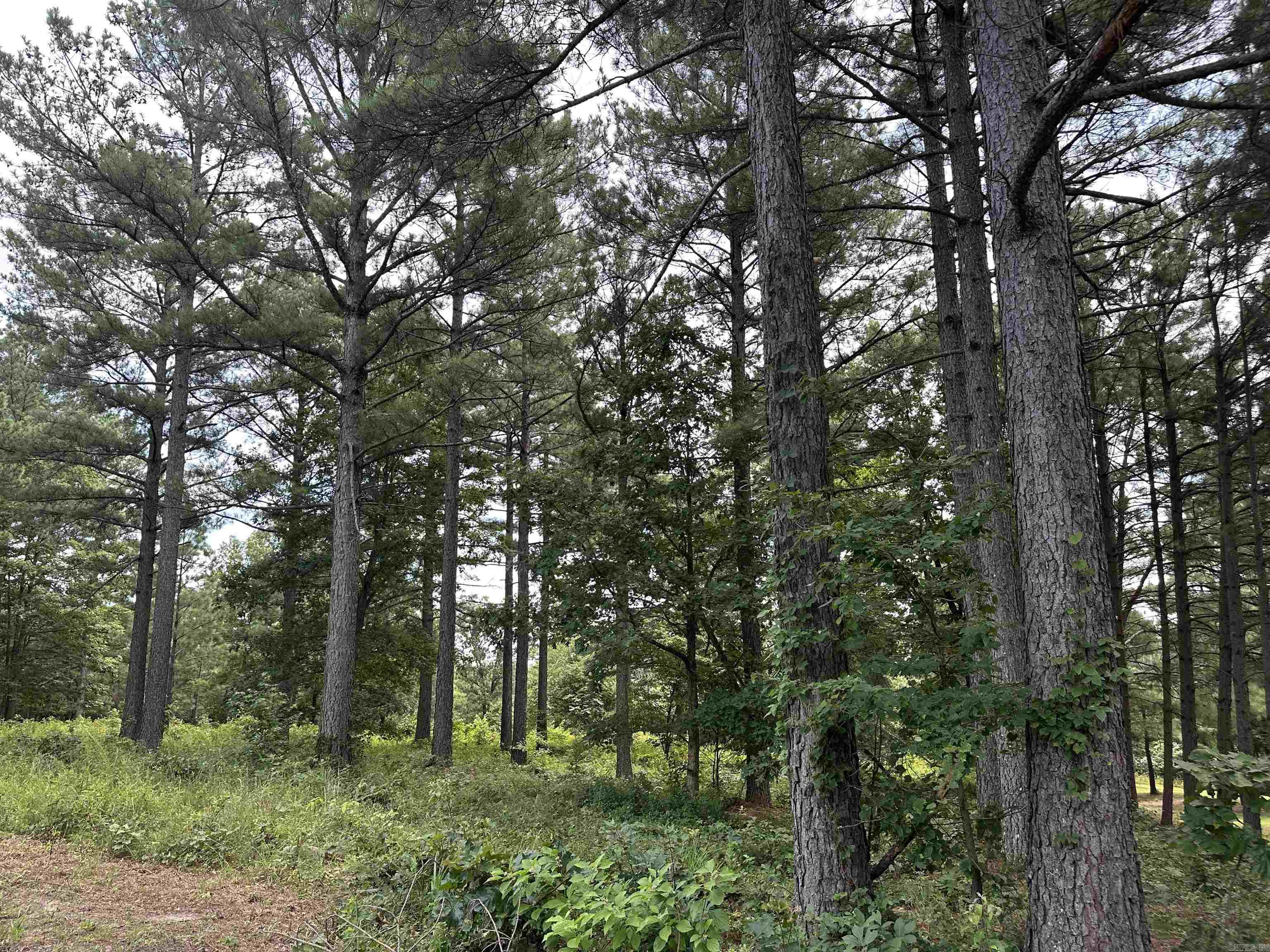 000 Citation Rd HOLLY  MTN. AIRPARK , SOUTH RIDGE Clinton, AR