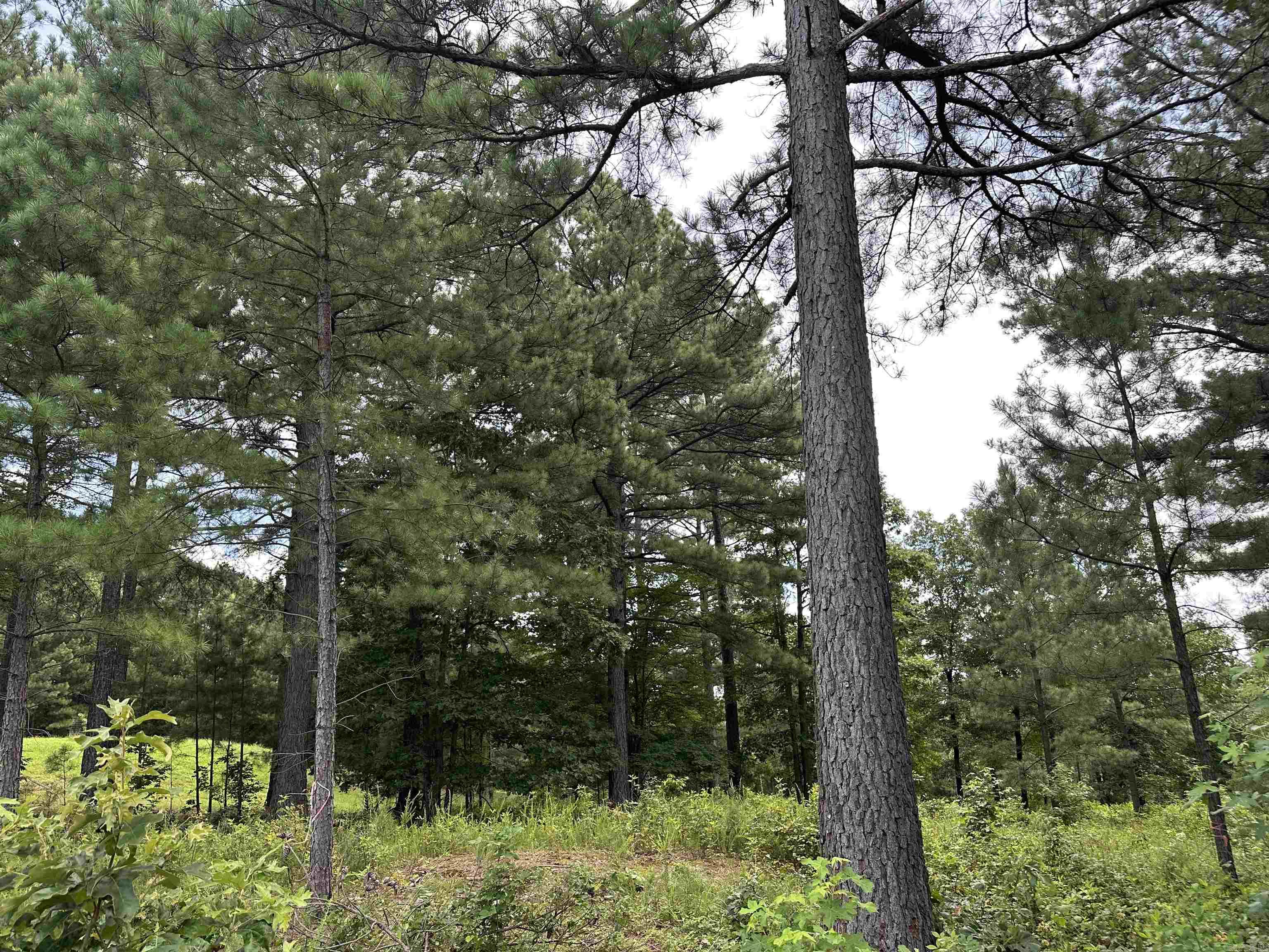 000 Citation Rd HOLLY  MTN. AIRPARK , SOUTH RIDGE Clinton, AR