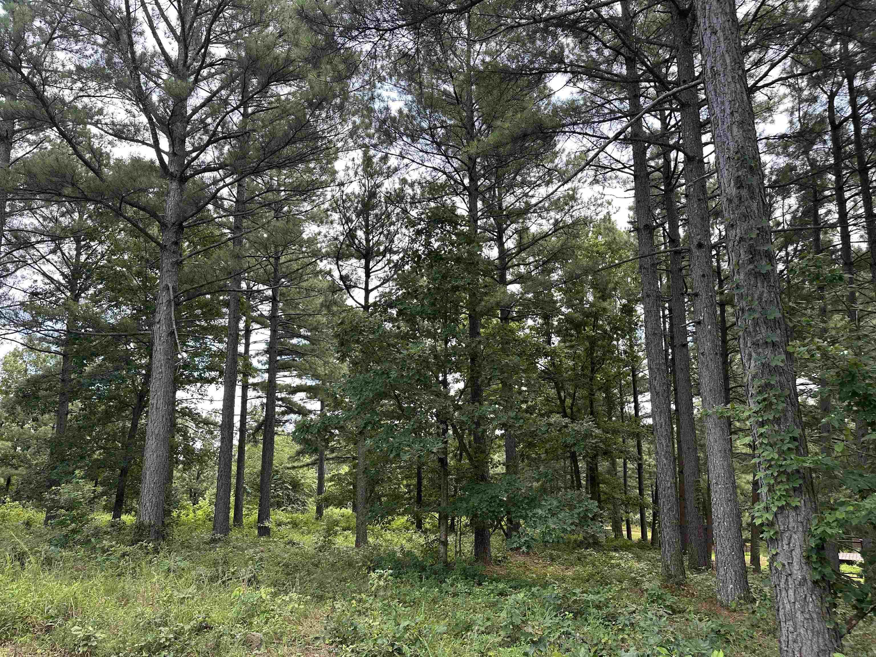000 Citation Rd HOLLY  MTN. AIRPARK , SOUTH RIDGE Clinton, AR
