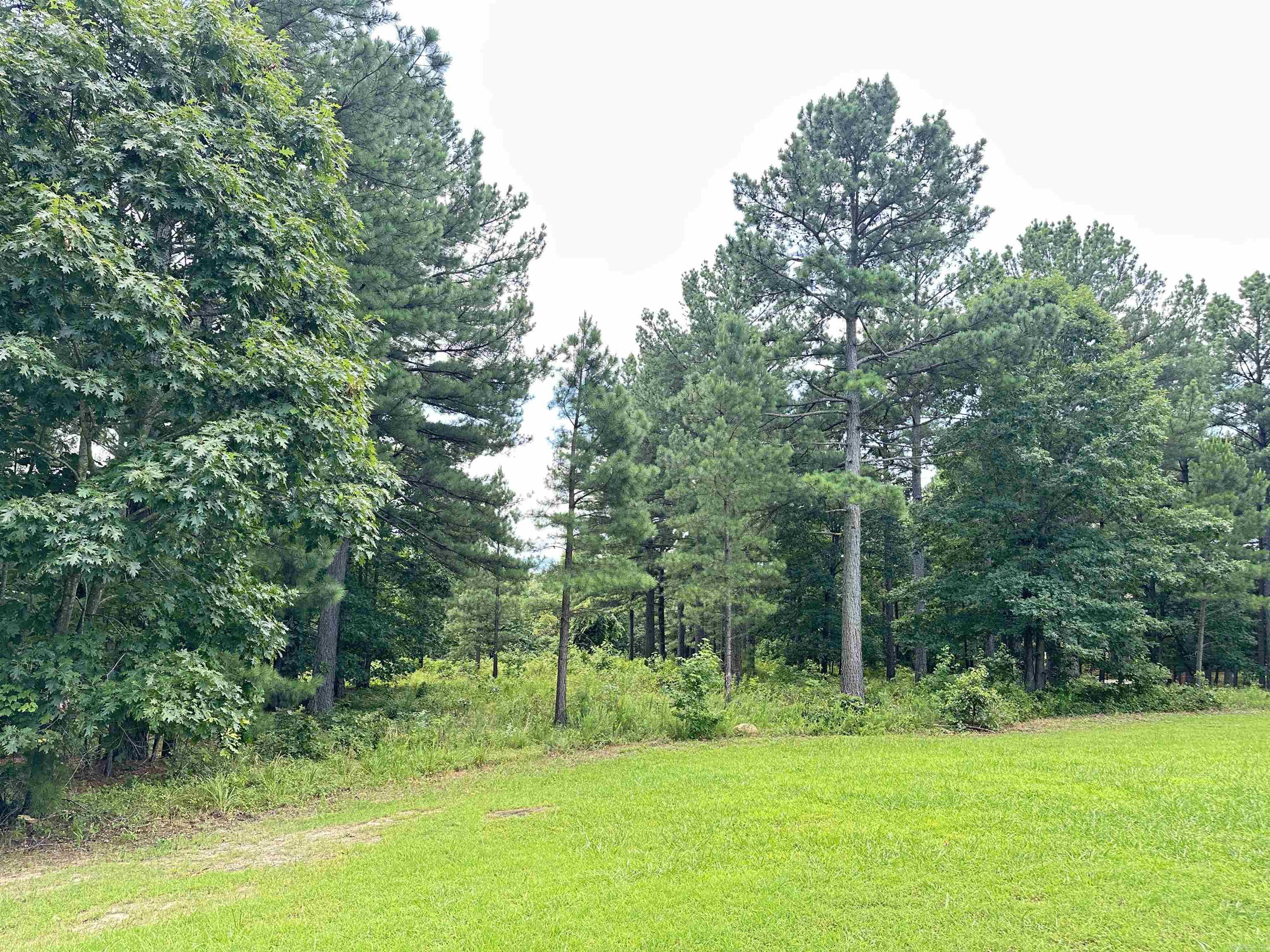 000 Citation Rd HOLLY  MTN. AIRPARK , SOUTH RIDGE Clinton, AR