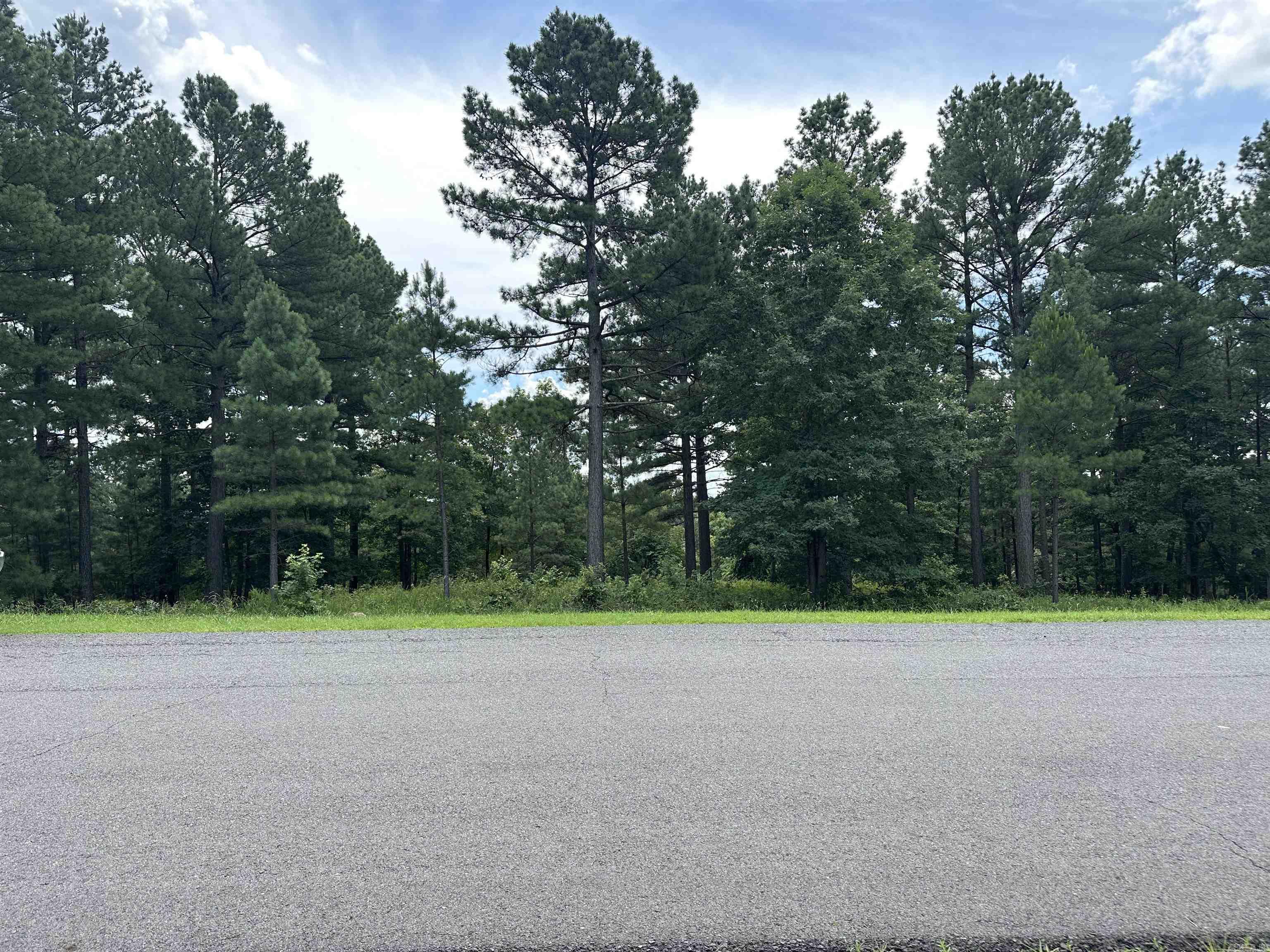 000 Citation Rd HOLLY  MTN. AIRPARK , SOUTH RIDGE Clinton, AR