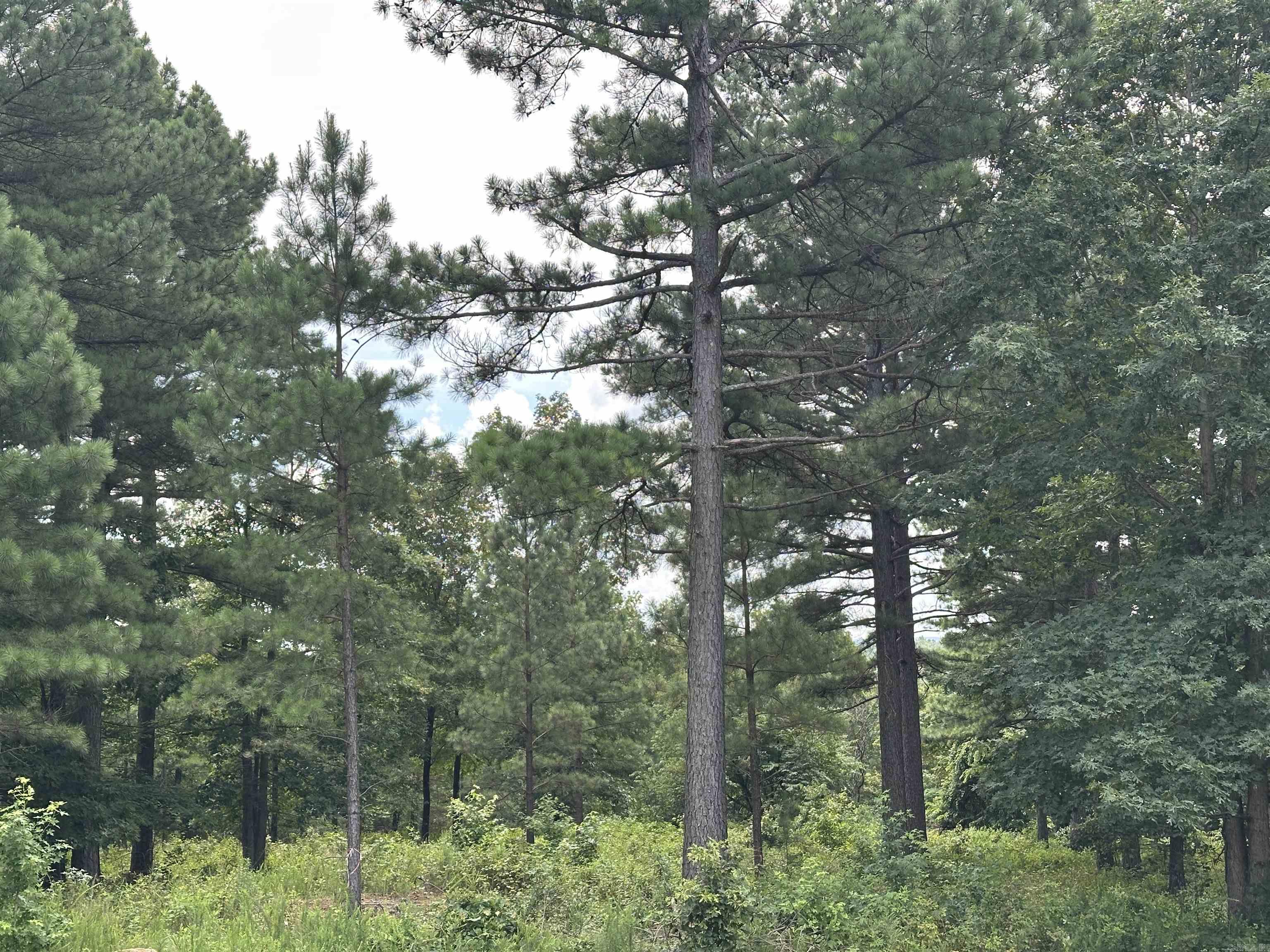 000 Citation Rd HOLLY  MTN. AIRPARK , SOUTH RIDGE Clinton, AR