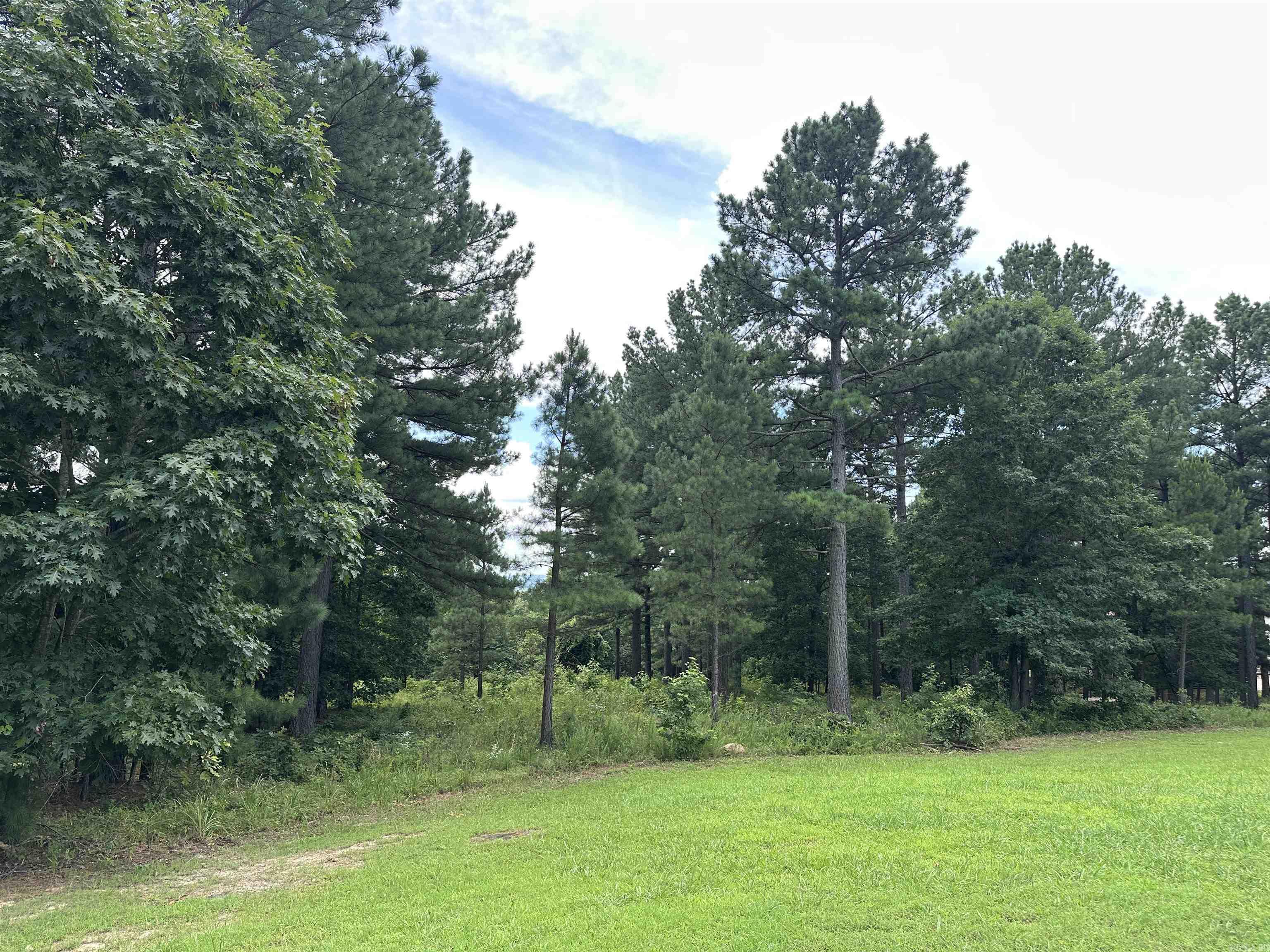 000 Citation Rd HOLLY  MTN. AIRPARK , SOUTH RIDGE Clinton, AR