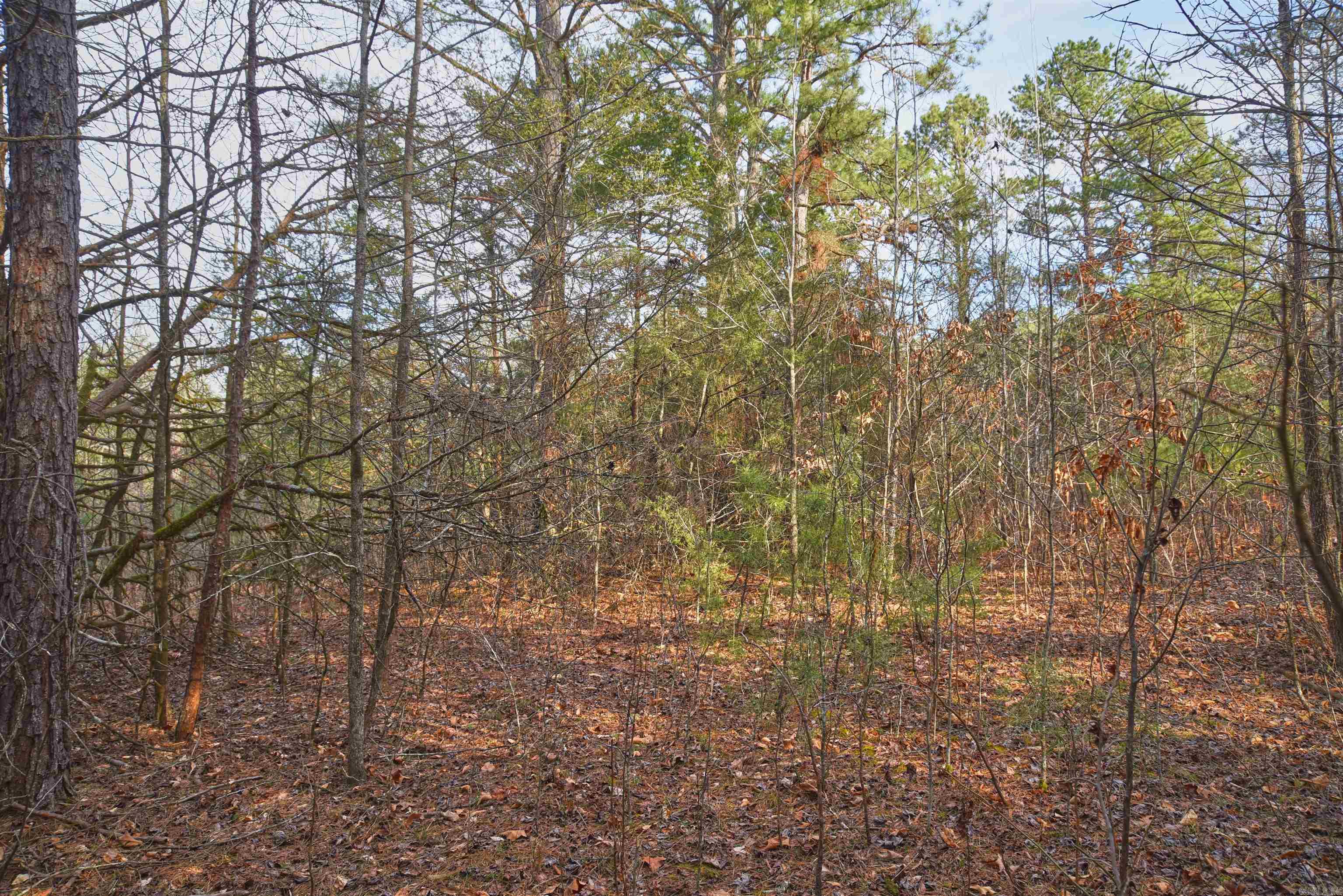 7.5 acres Mountain Meadows Road  Shirley, AR