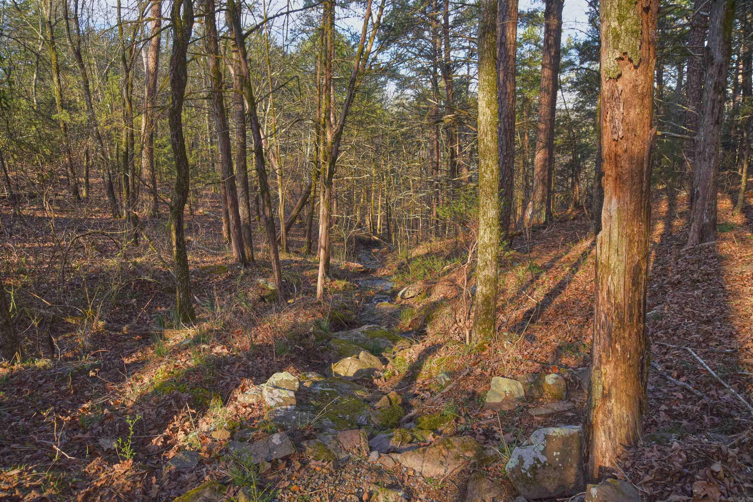 7.5 acres Mountain Meadows Road  Shirley, AR