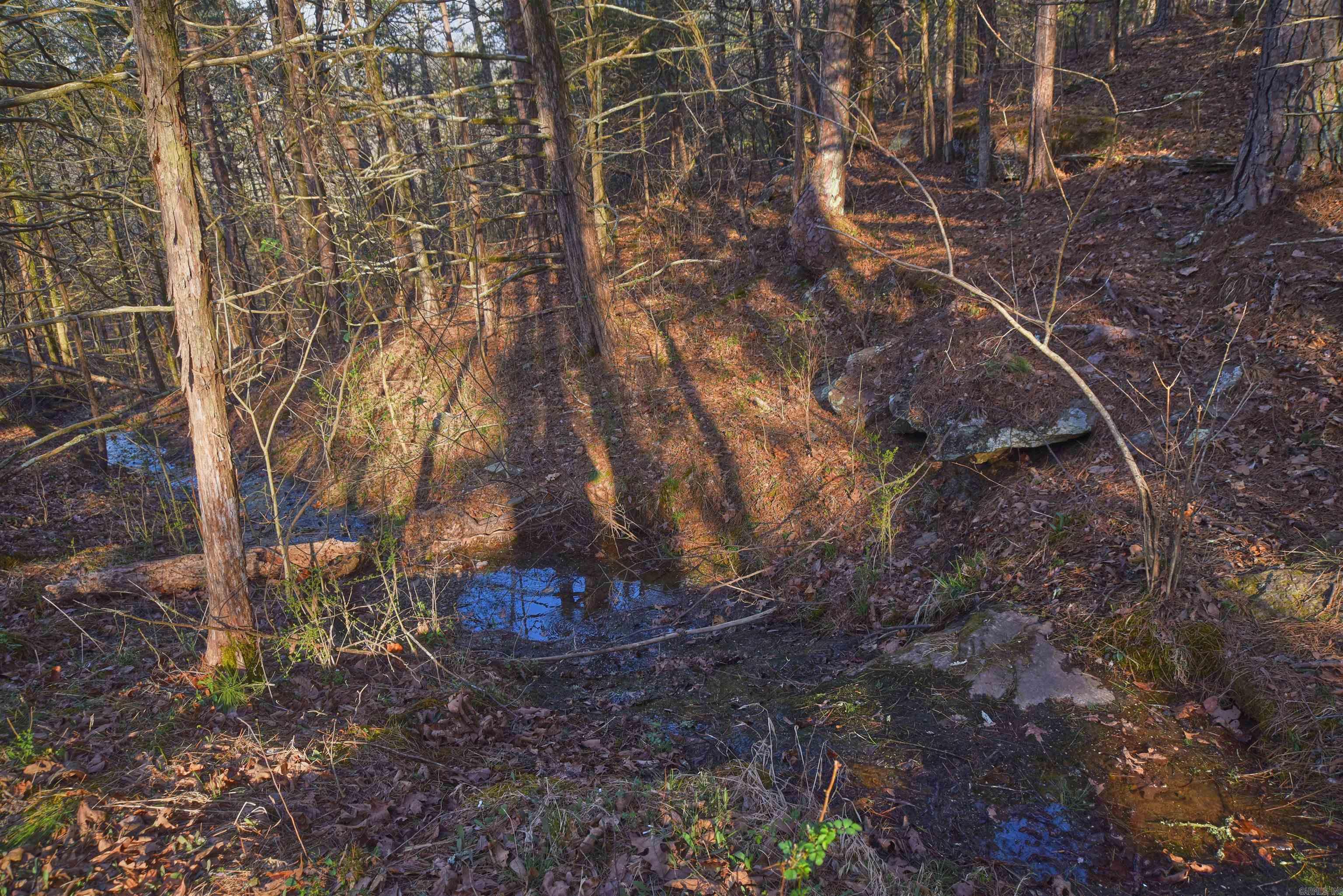 7.5 acres Mountain Meadows Road  Shirley, AR