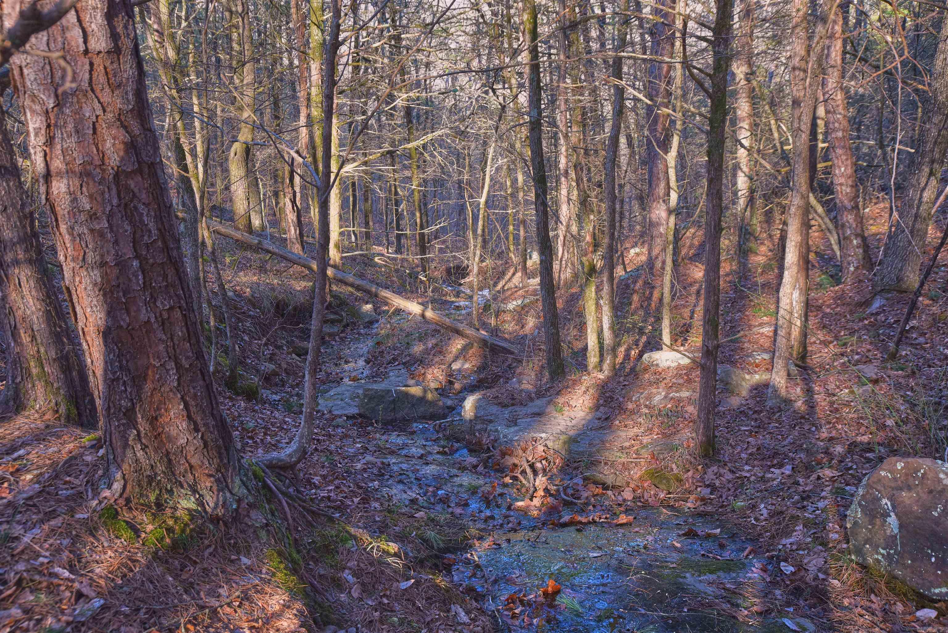 7.5 acres Mountain Meadows Road  Shirley, AR