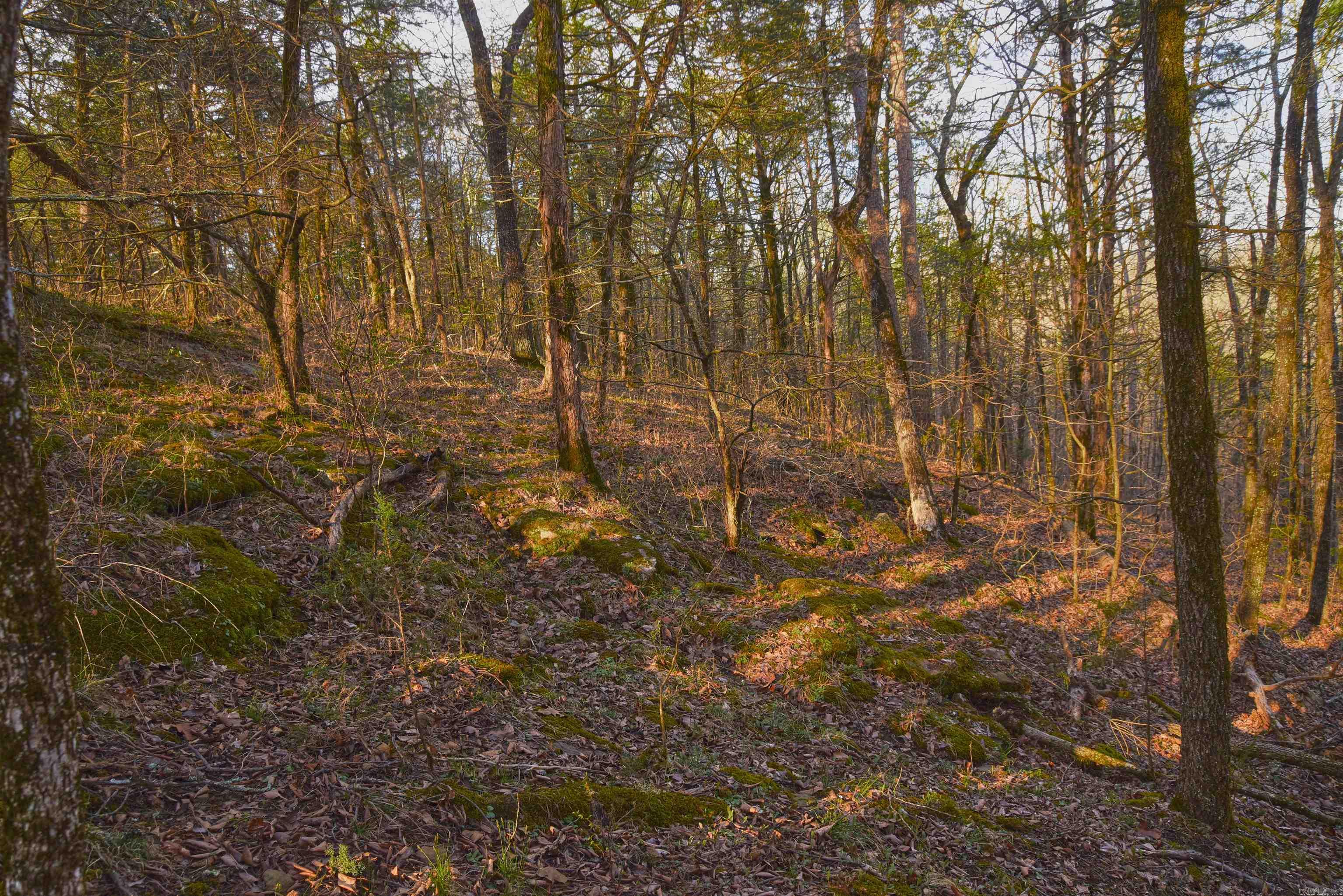 7.5 acres Mountain Meadows Road  Shirley, AR