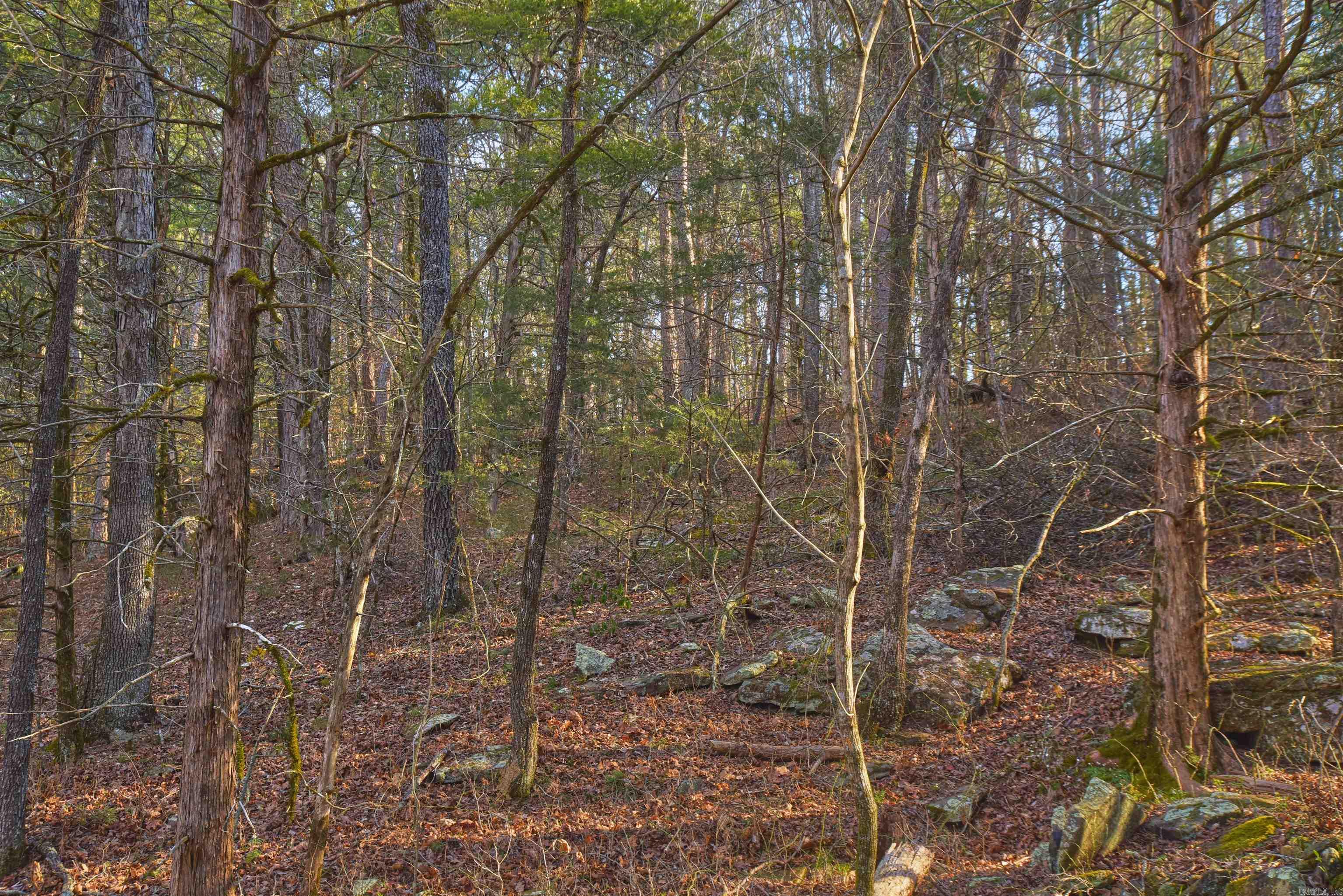 7.5 acres Mountain Meadows Road  Shirley, AR