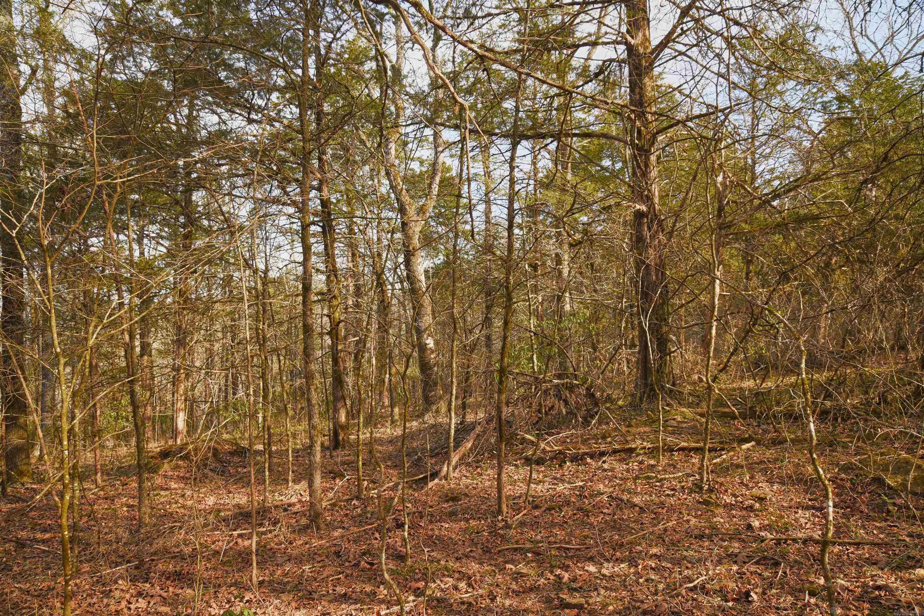 7.5 acres Mountain Meadows Road  Shirley, AR