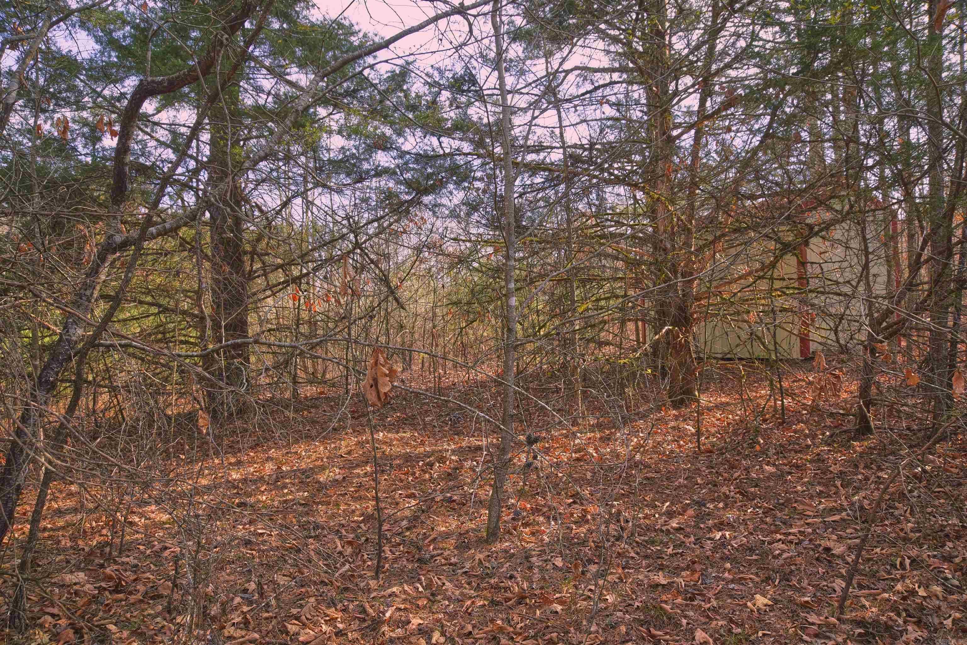 7.5 acres Mountain Meadows Road  Shirley, AR