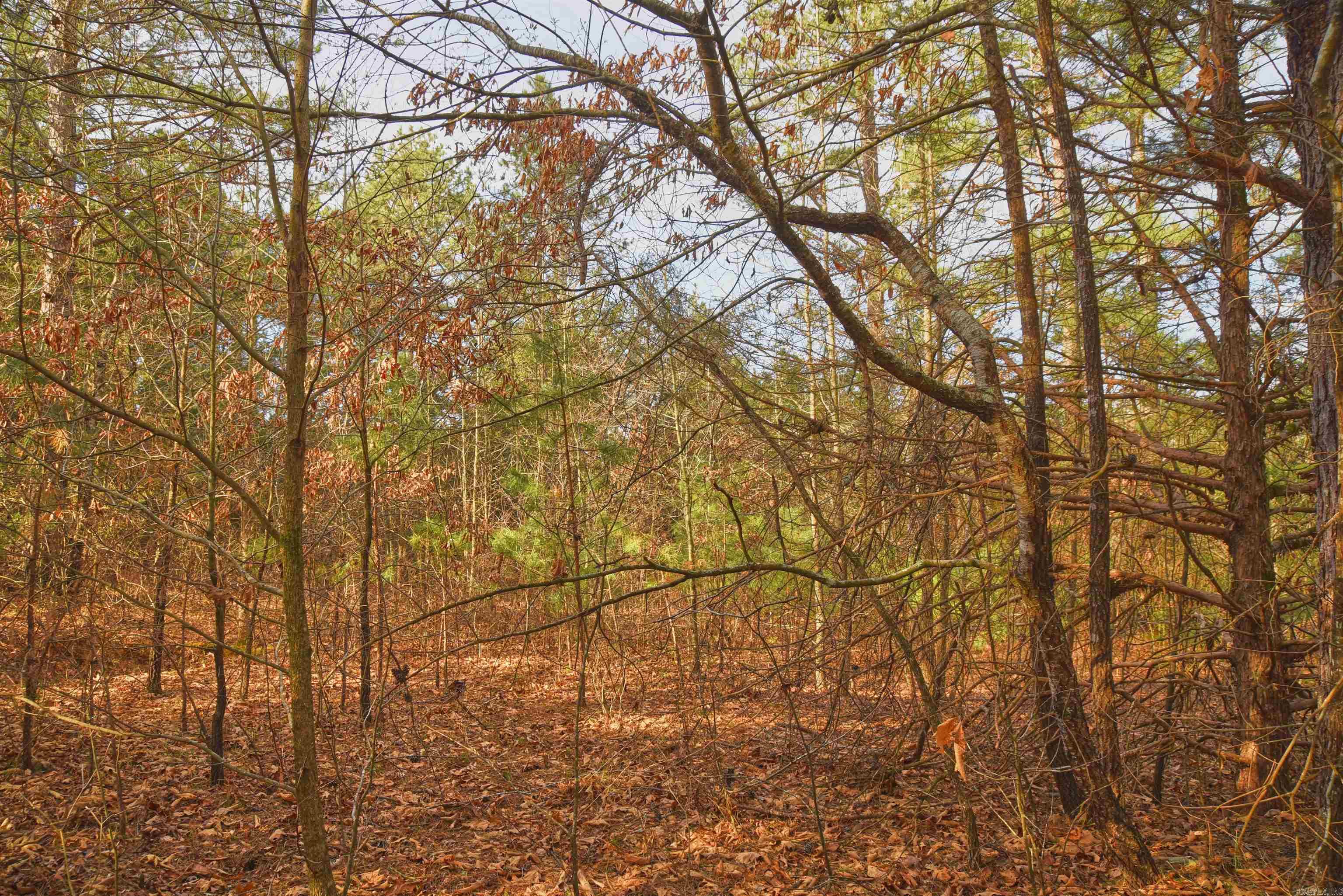 7.5 acres Mountain Meadows Road  Shirley, AR