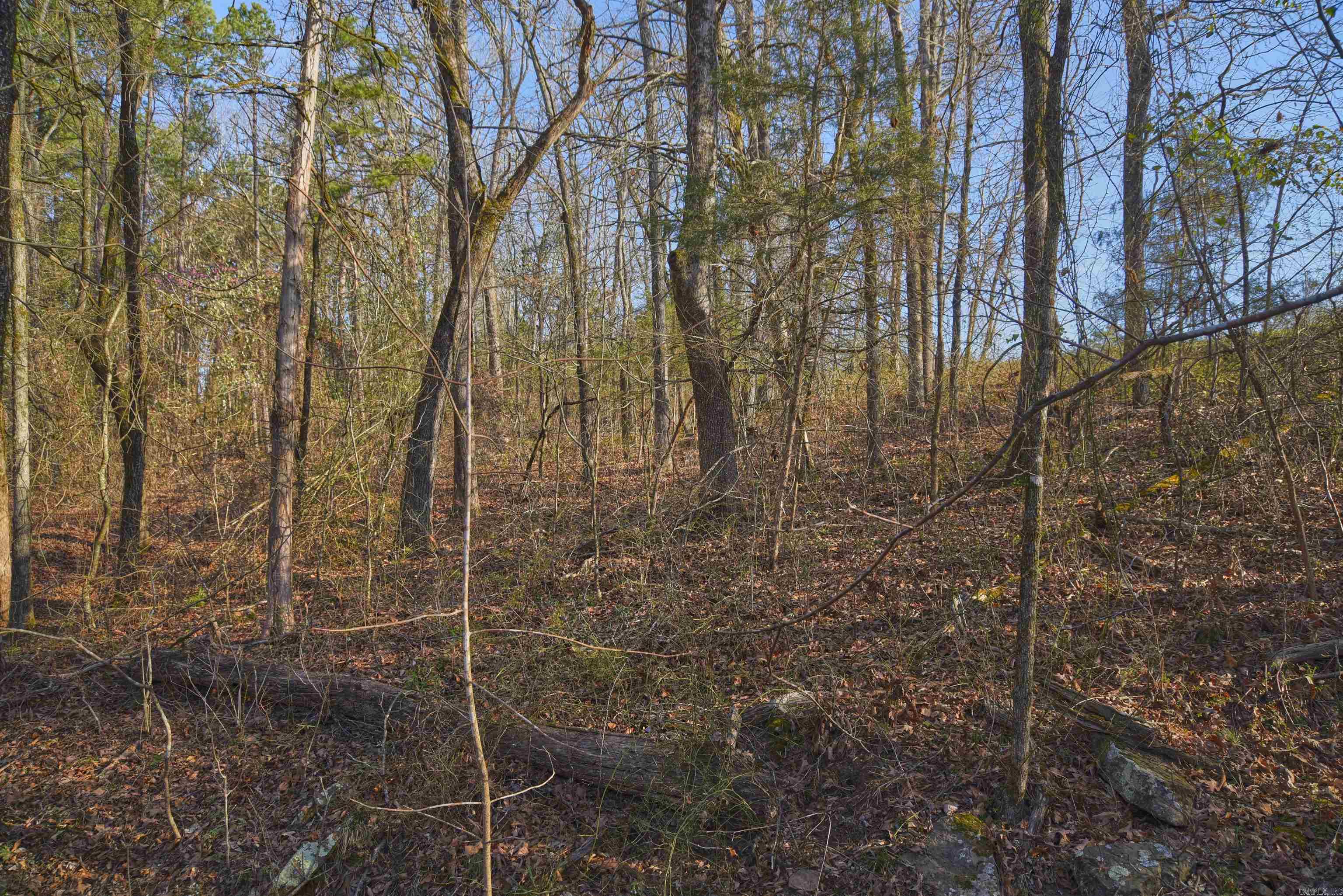 7.5 acres Mountain Meadows Road  Shirley, AR