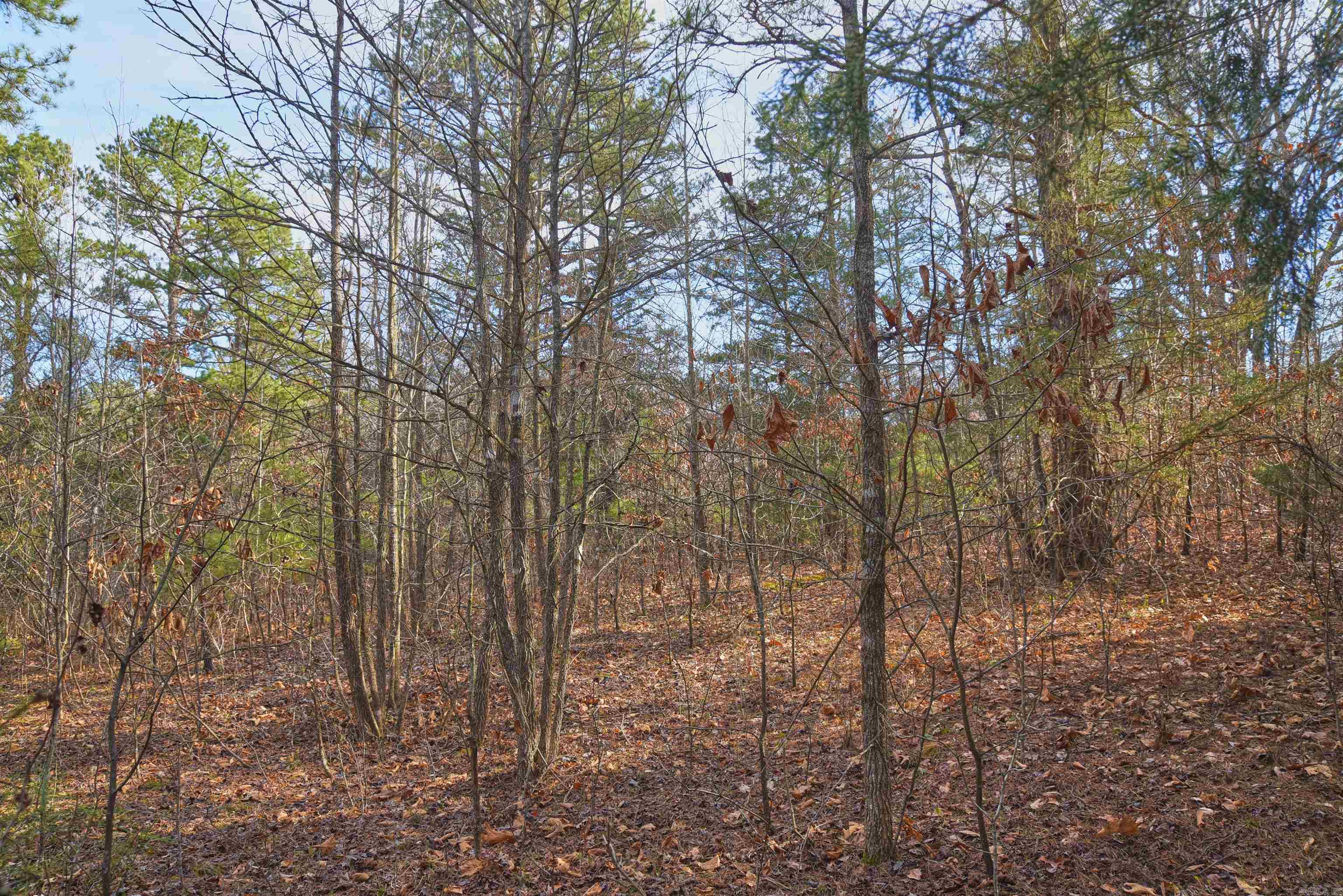 7.5 acres Mountain Meadows Road  Shirley, AR