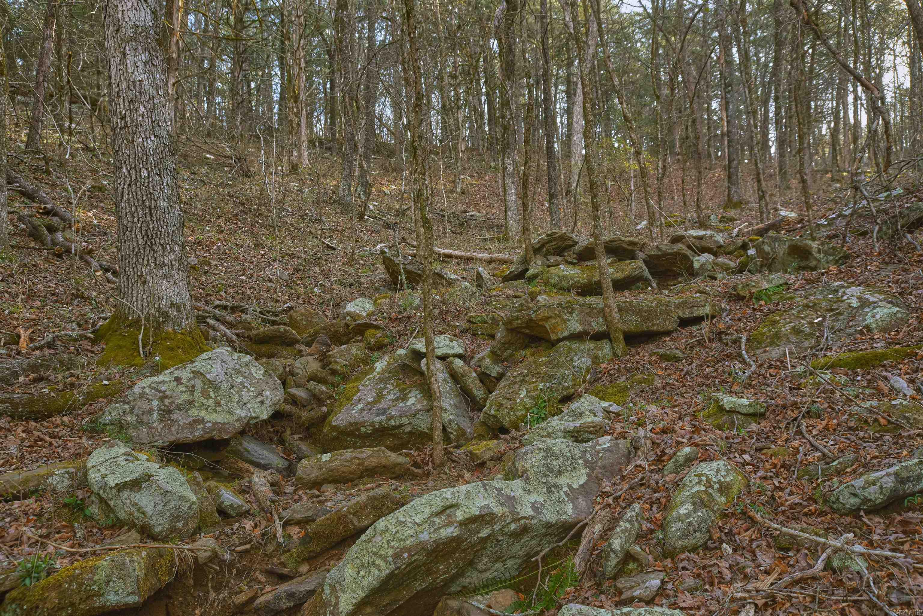 7.5 acres Mountain Meadows Road  Shirley, AR