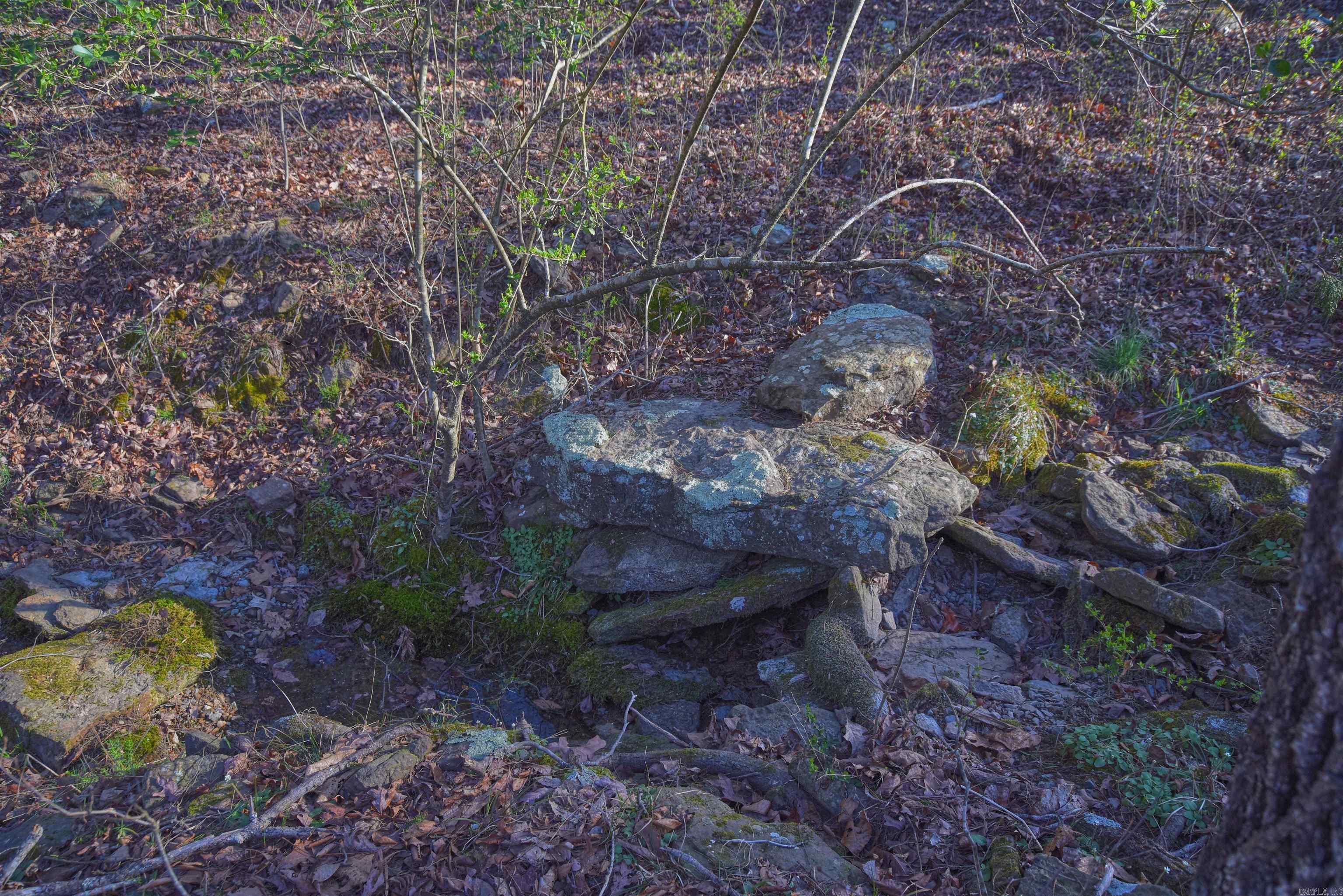 7.5 acres Mountain Meadows Road  Shirley, AR