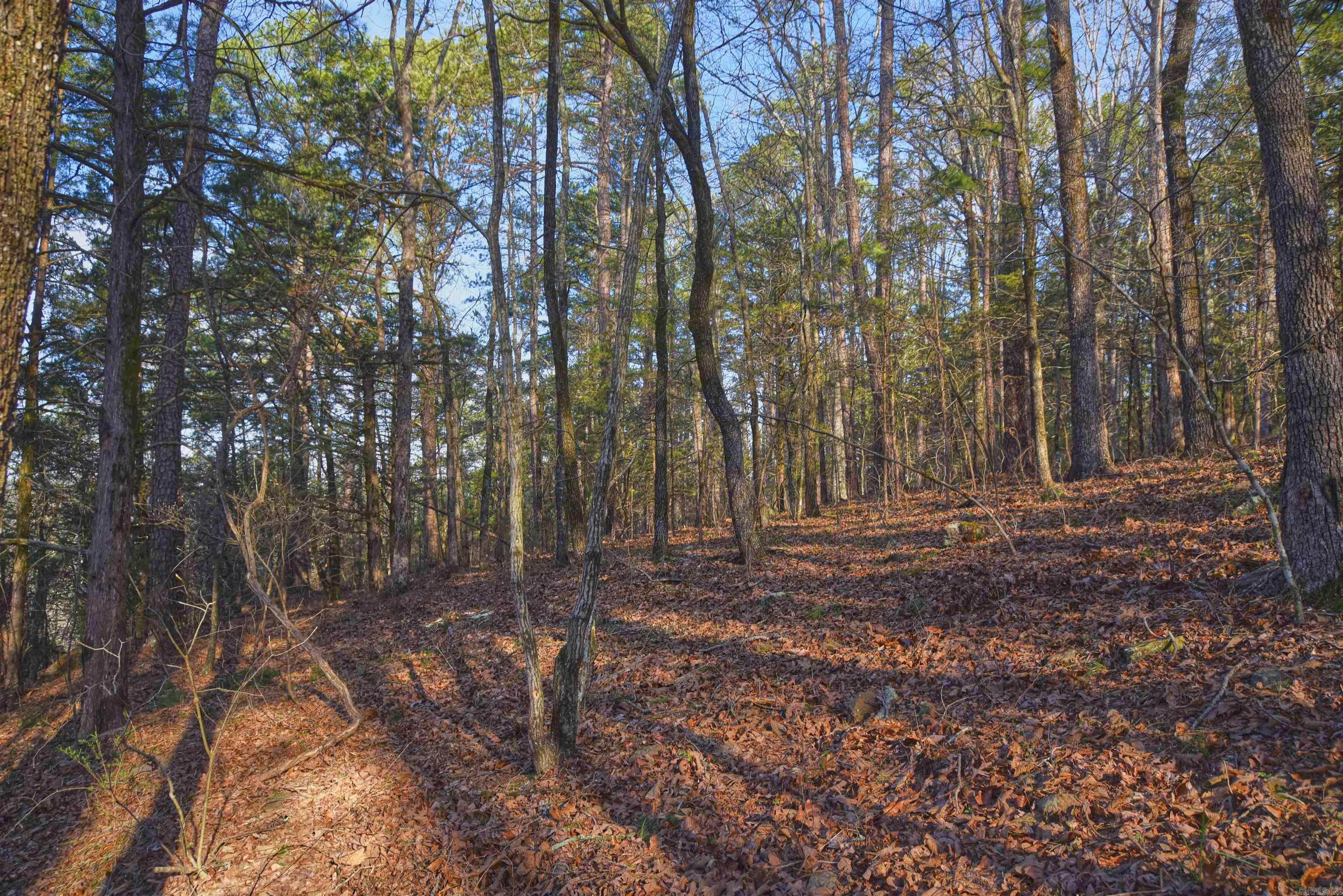 7.5 acres Mountain Meadows Road  Shirley, AR