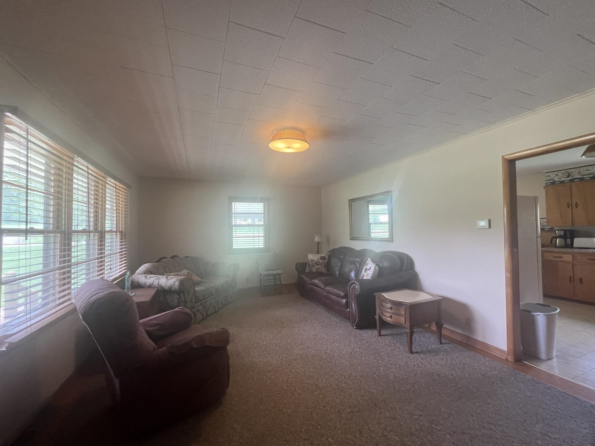 665 cochran  Mammoth Spring, AR