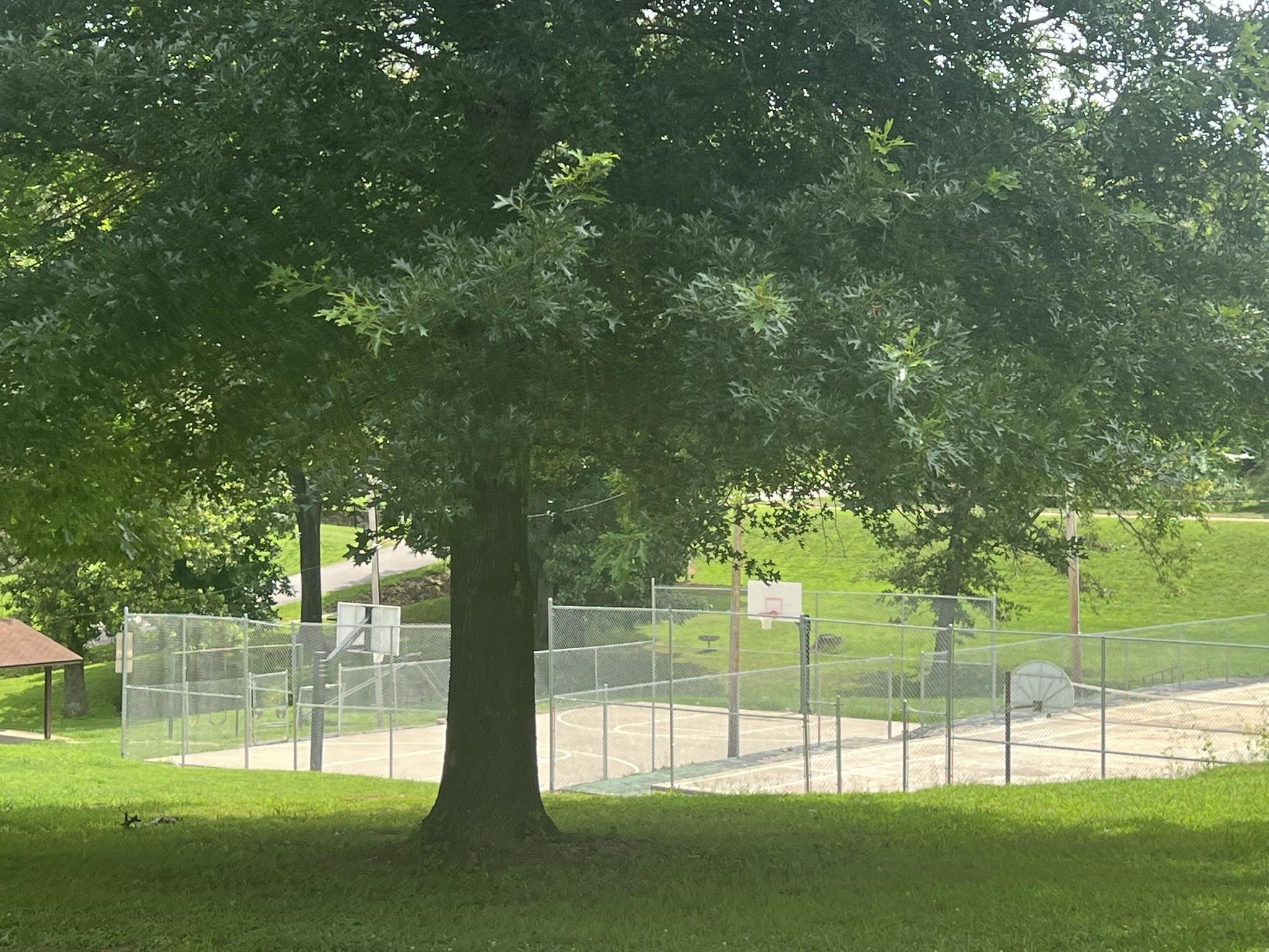 665 cochran  Mammoth Spring, AR