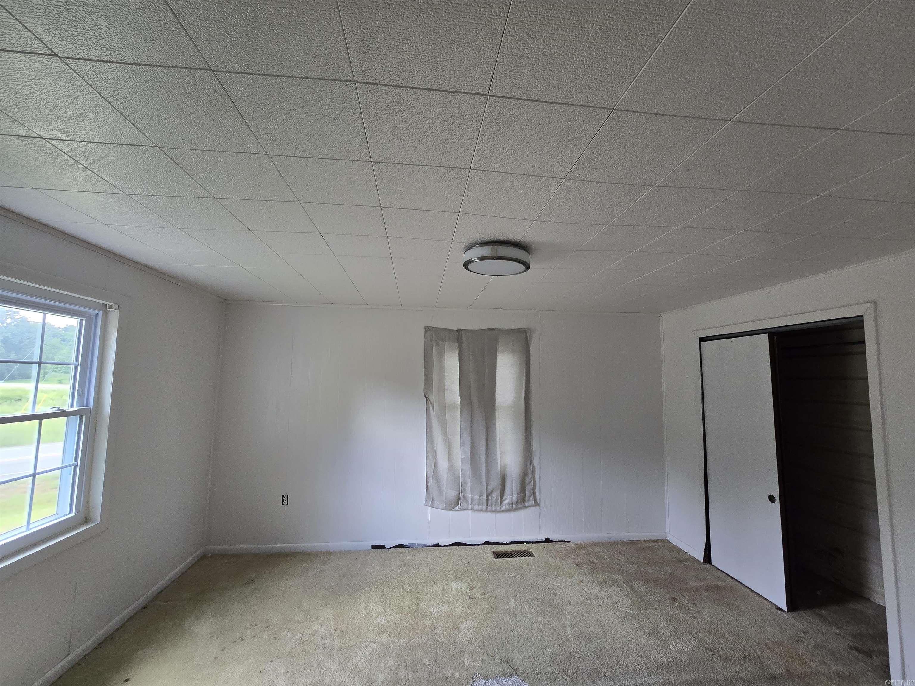 19 Misty  Cave City, AR