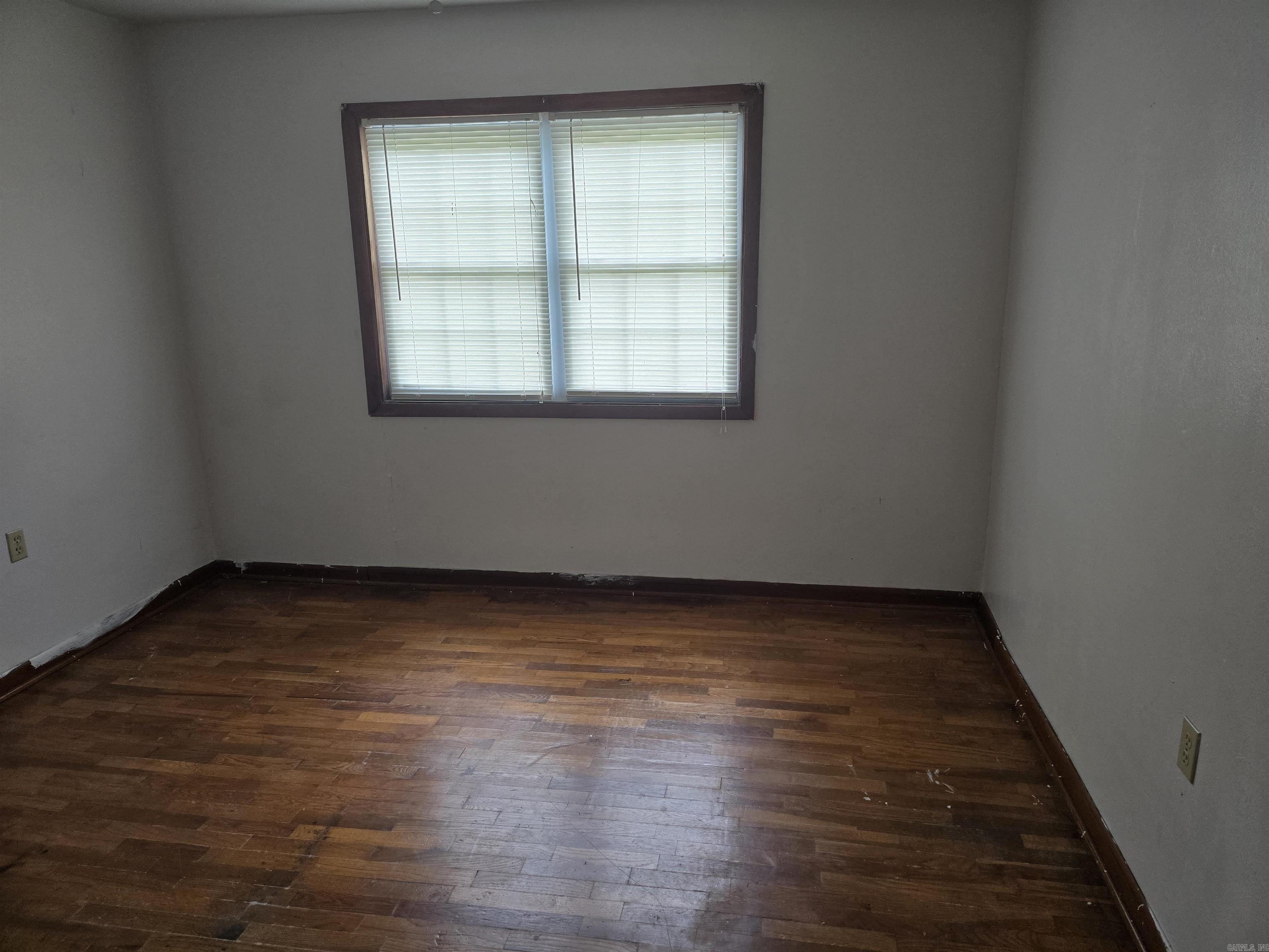 19 Misty  Cave City, AR