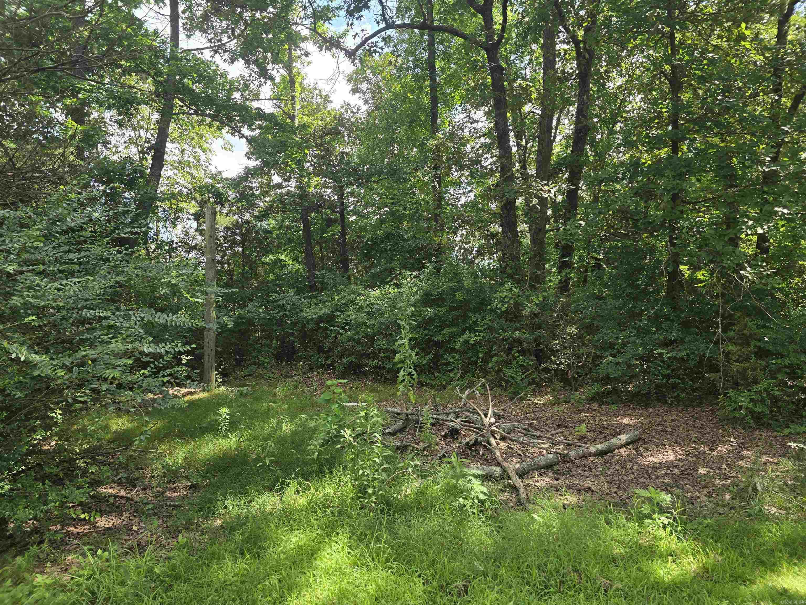 19 Misty  Cave City, AR