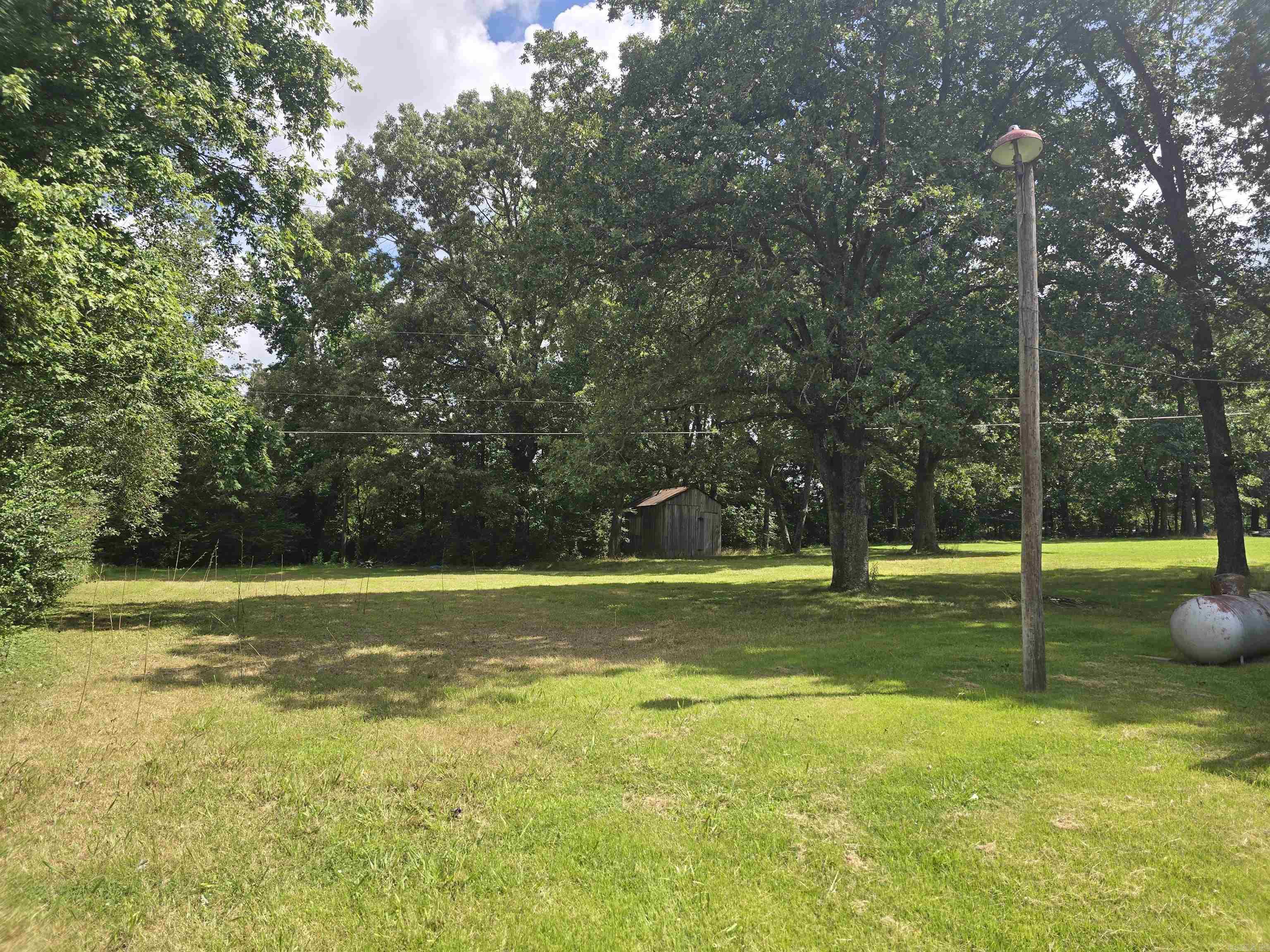 19 Misty  Cave City, AR