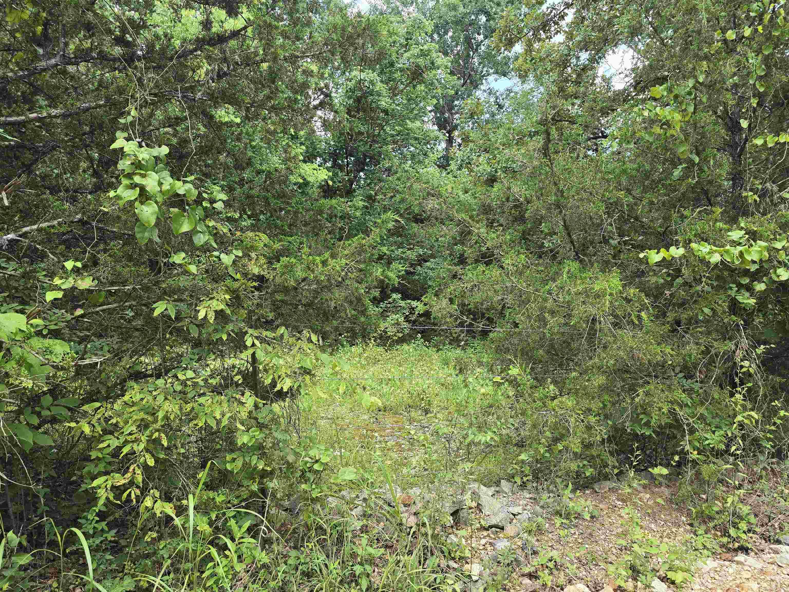 0 Pleasant Ridge  Poughkeepsie, AR