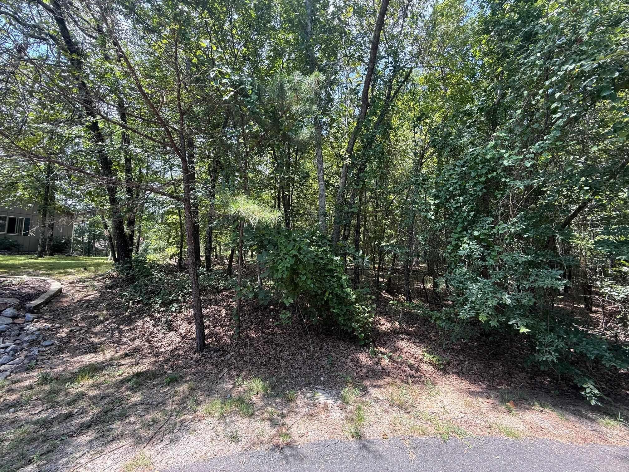 14 Versalles  Hot Springs Village, AR