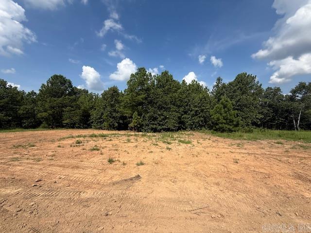 66 Summer Sky Drive  Greenbrier, AR