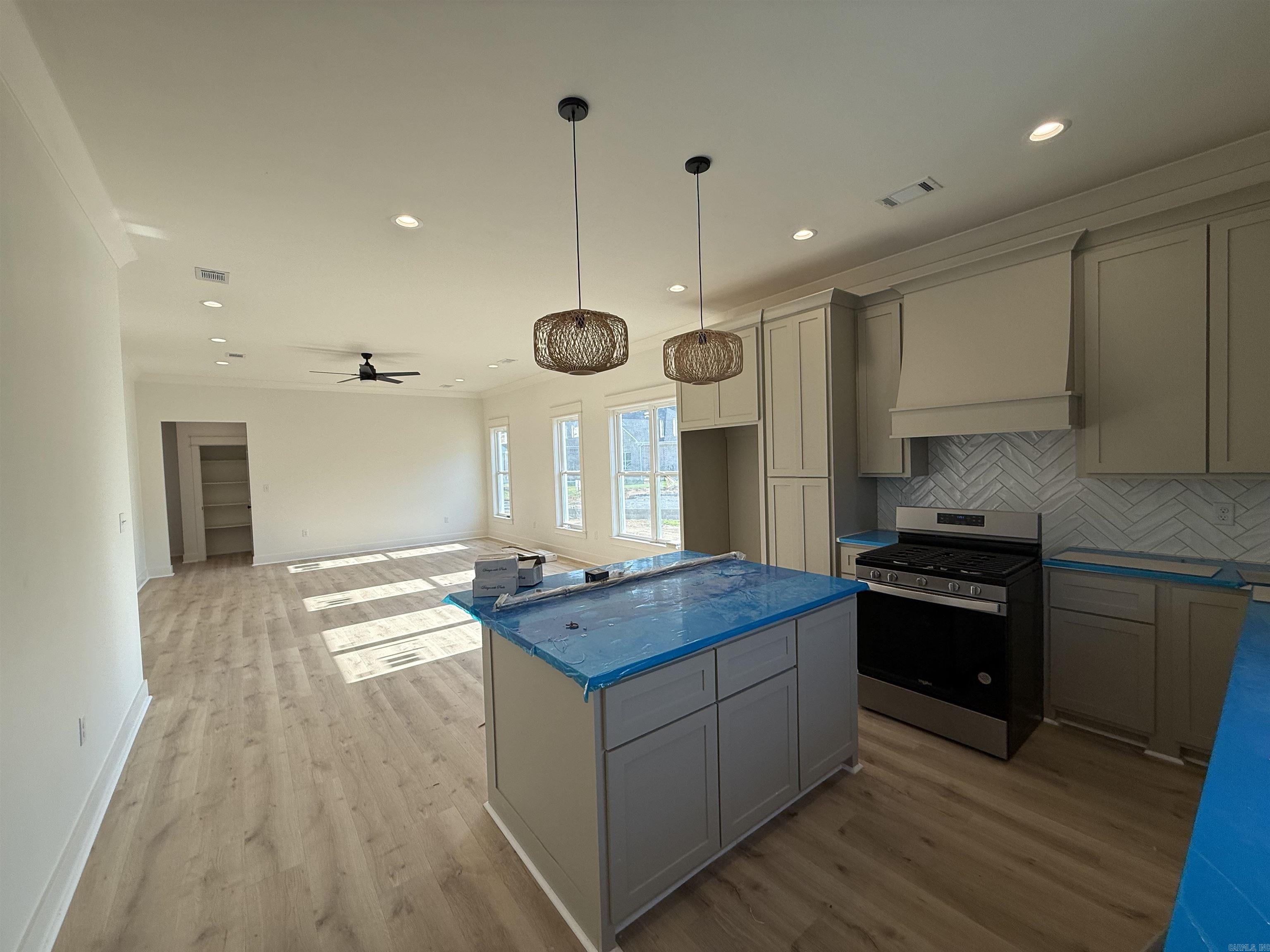10 Dragonfly Cove Greenbrier, AR 72058