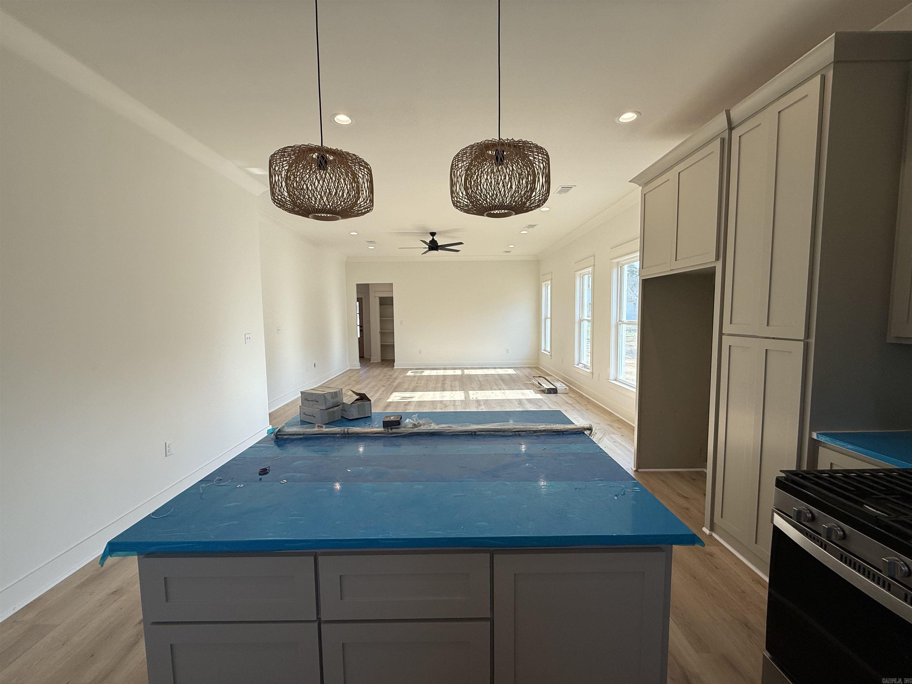 10 Dragonfly Cove Greenbrier, AR 72058
