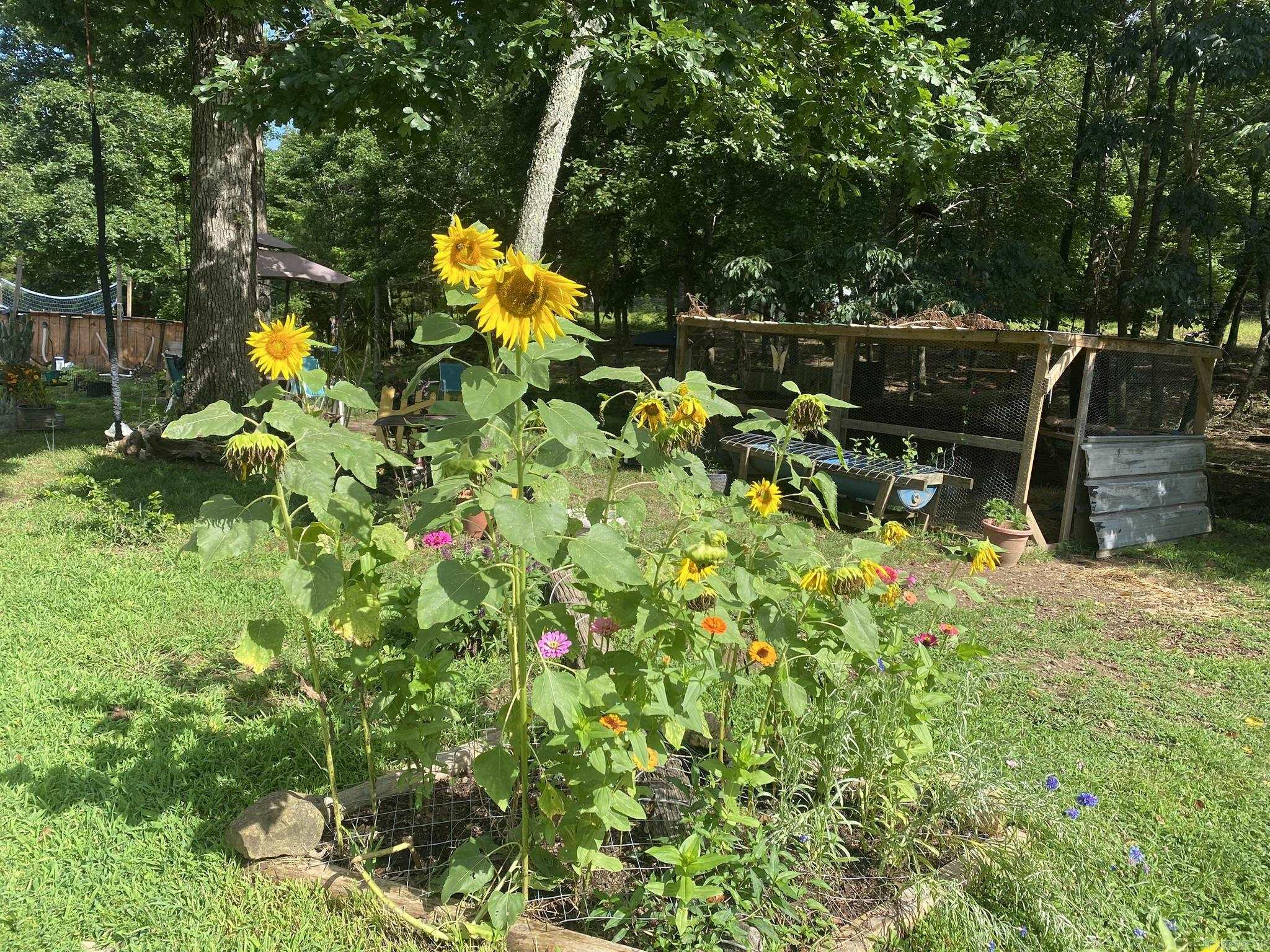 459 Junction  Mountain View, AR
