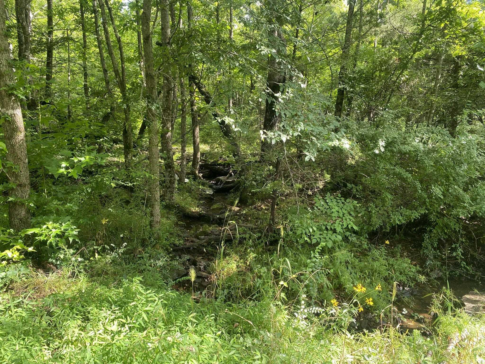 459 Junction  Mountain View, AR