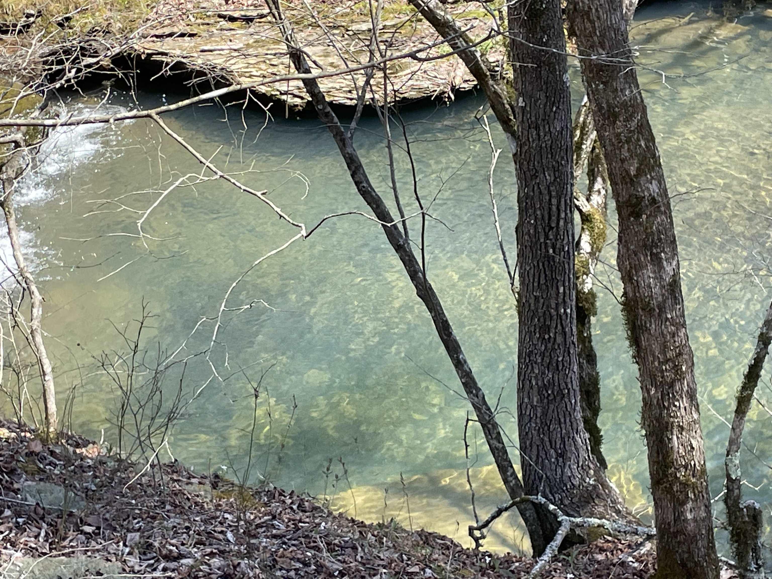 000 St Mary  Rose Bud, AR