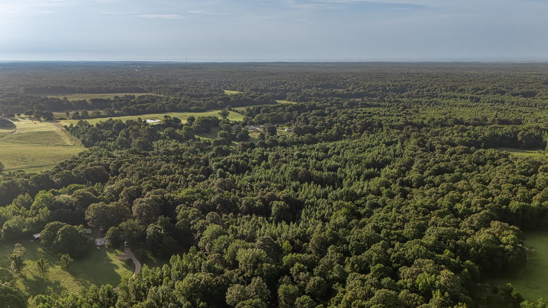 33 acres M/L Greene 710  Paragould, AR