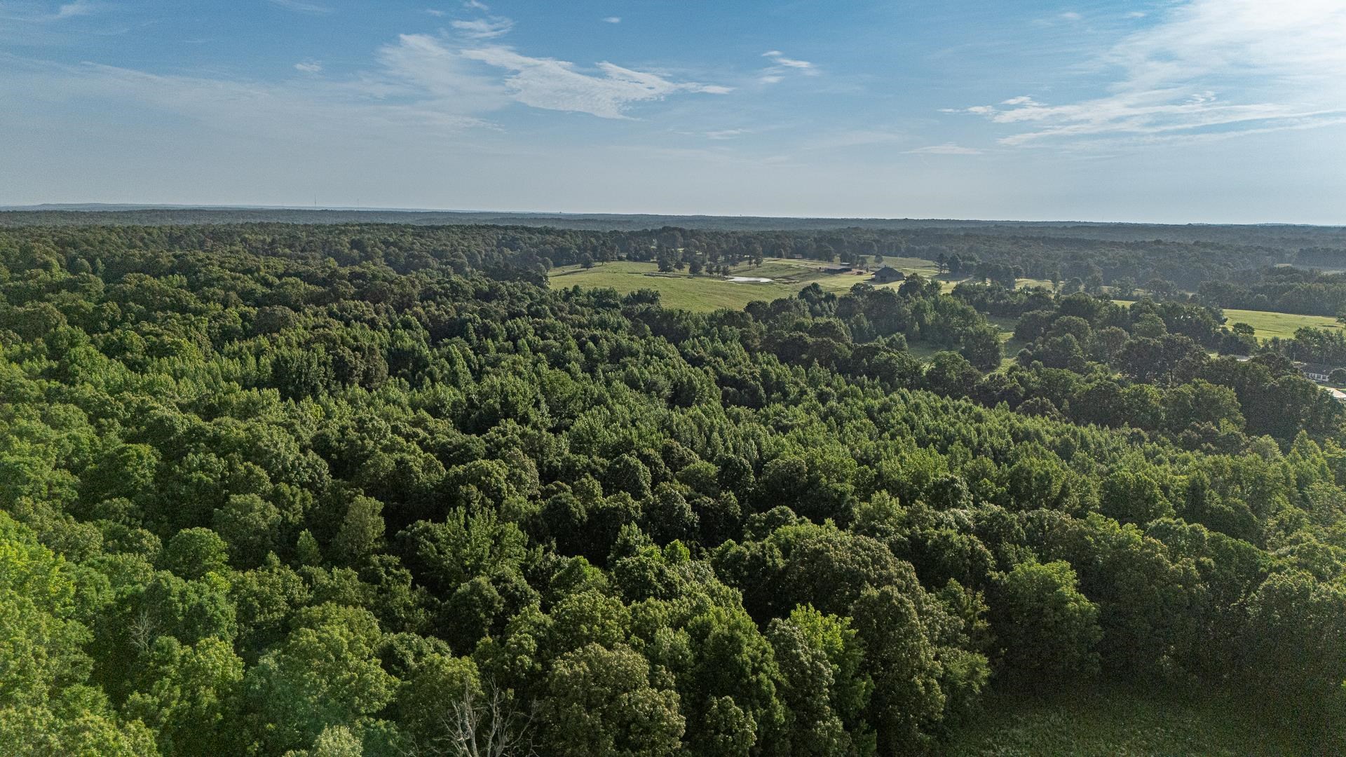 33 acres M/L Greene 710  Paragould, AR
