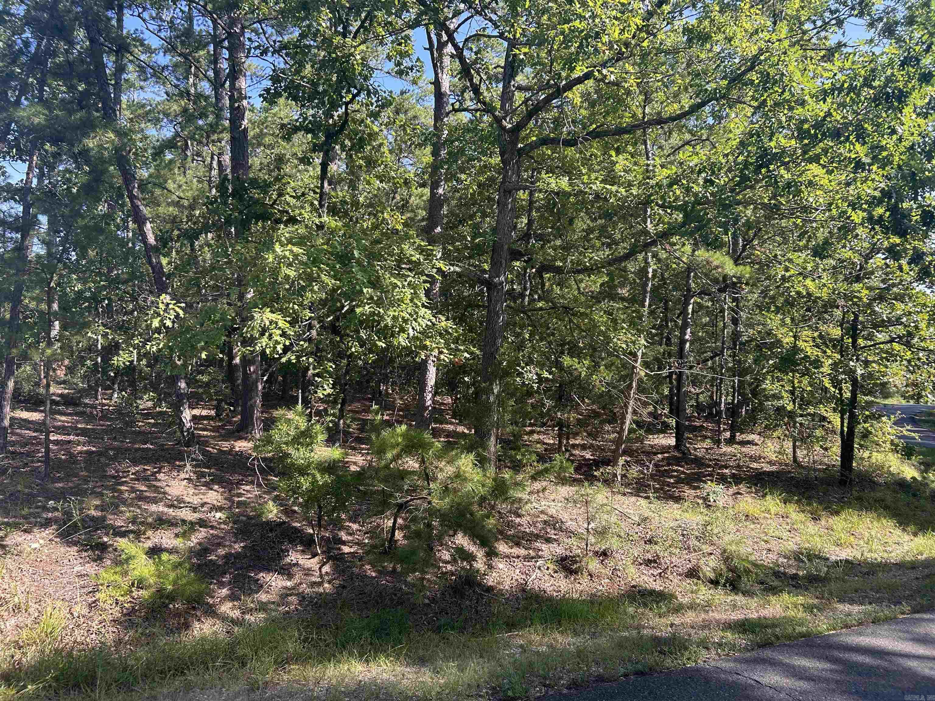 33 Levantino 2 Ostento Way Hot Springs Village, AR